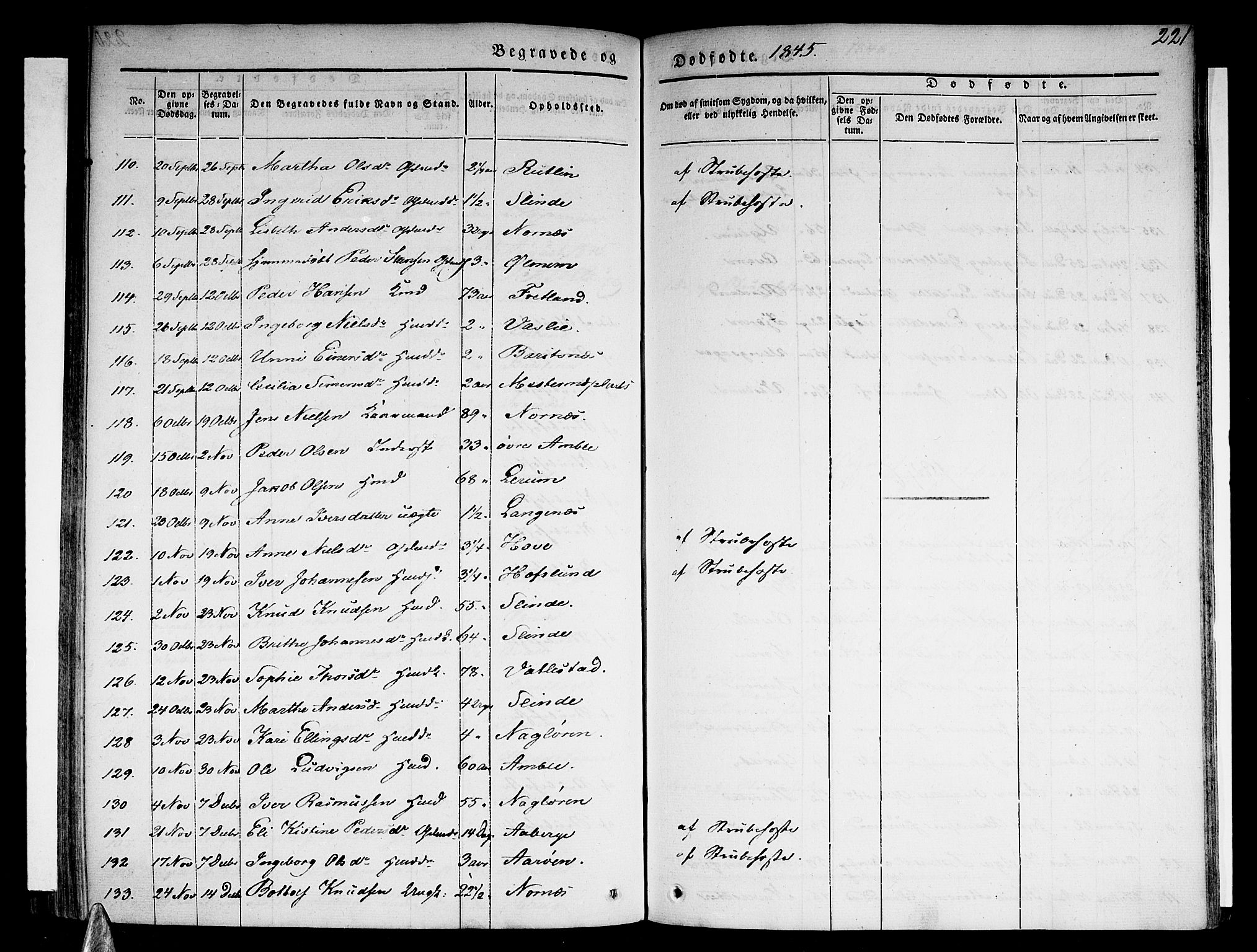 Sogndal sokneprestembete, AV/SAB-A-81301/H/Haa/Haaa/L0011: Parish register (official) no. A 11, 1839-1847, p. 221