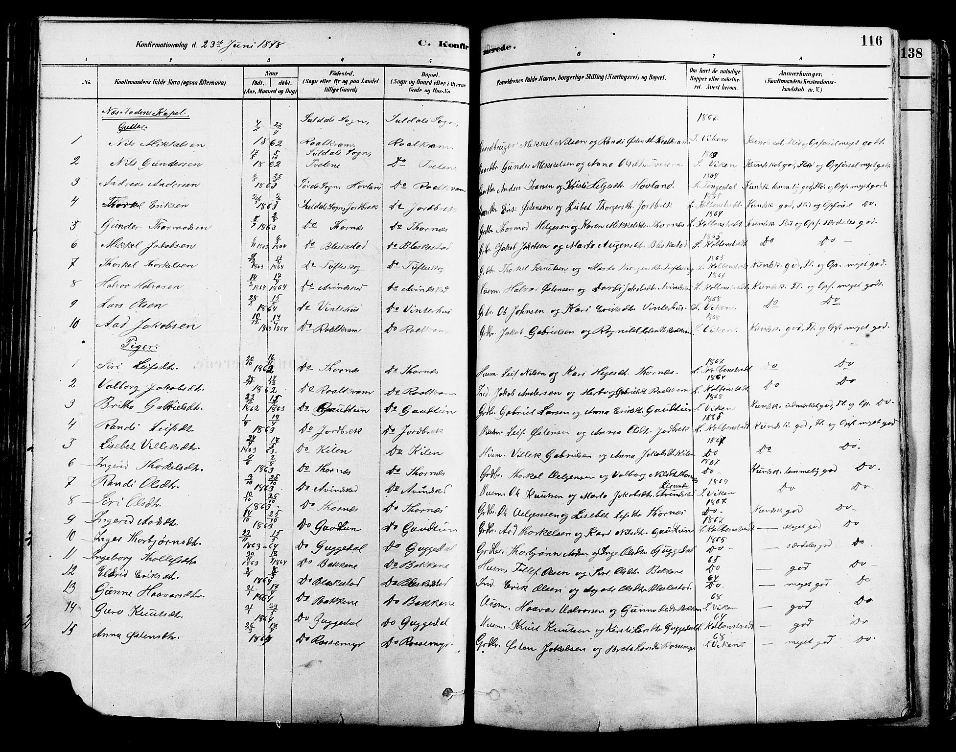 Suldal sokneprestkontor, AV/SAST-A-101845/01/IV/L0011: Parish register (official) no. A 11, 1878-1900, p. 116