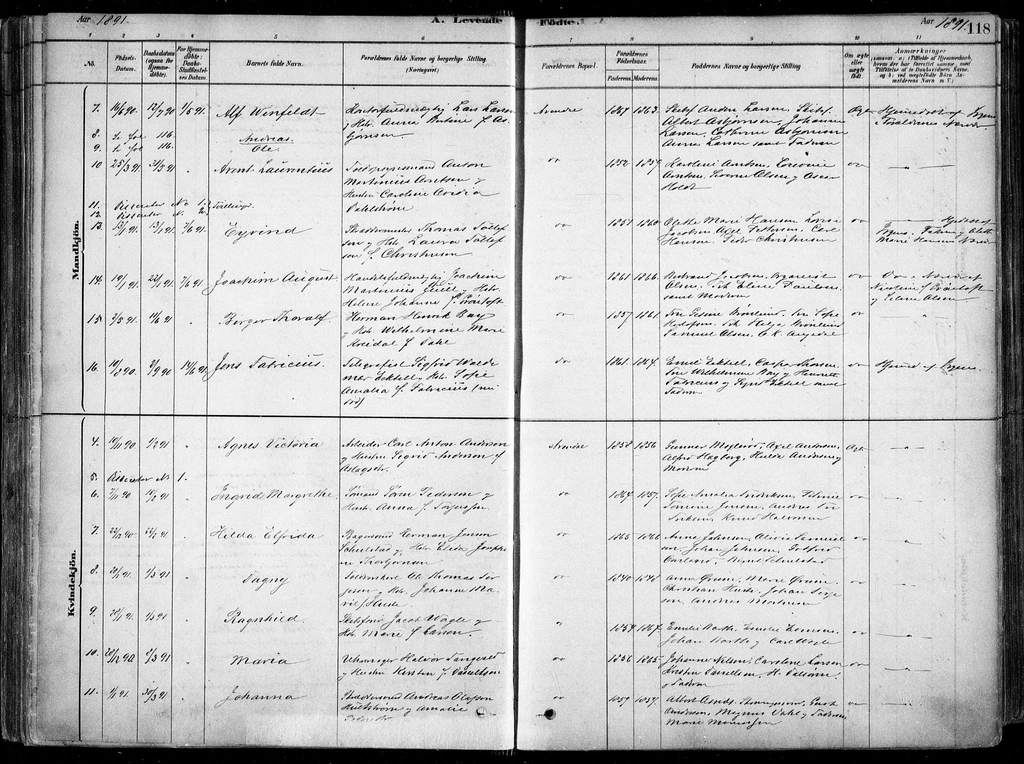 Arendal sokneprestkontor, Trefoldighet, AV/SAK-1111-0040/F/Fa/L0008: Parish register (official) no. A 8, 1878-1899, p. 118