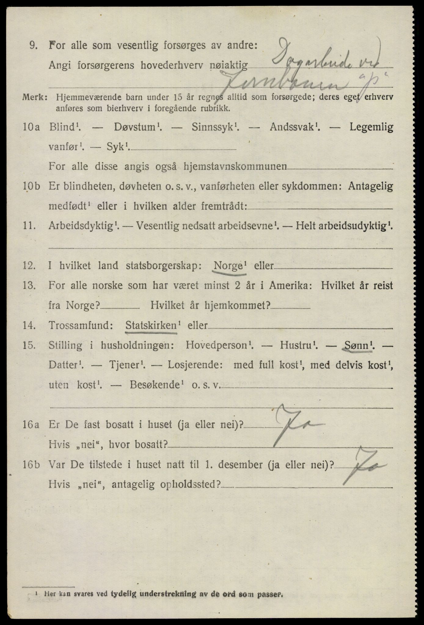 SAO, 1920 census for Nes, 1920, p. 17753