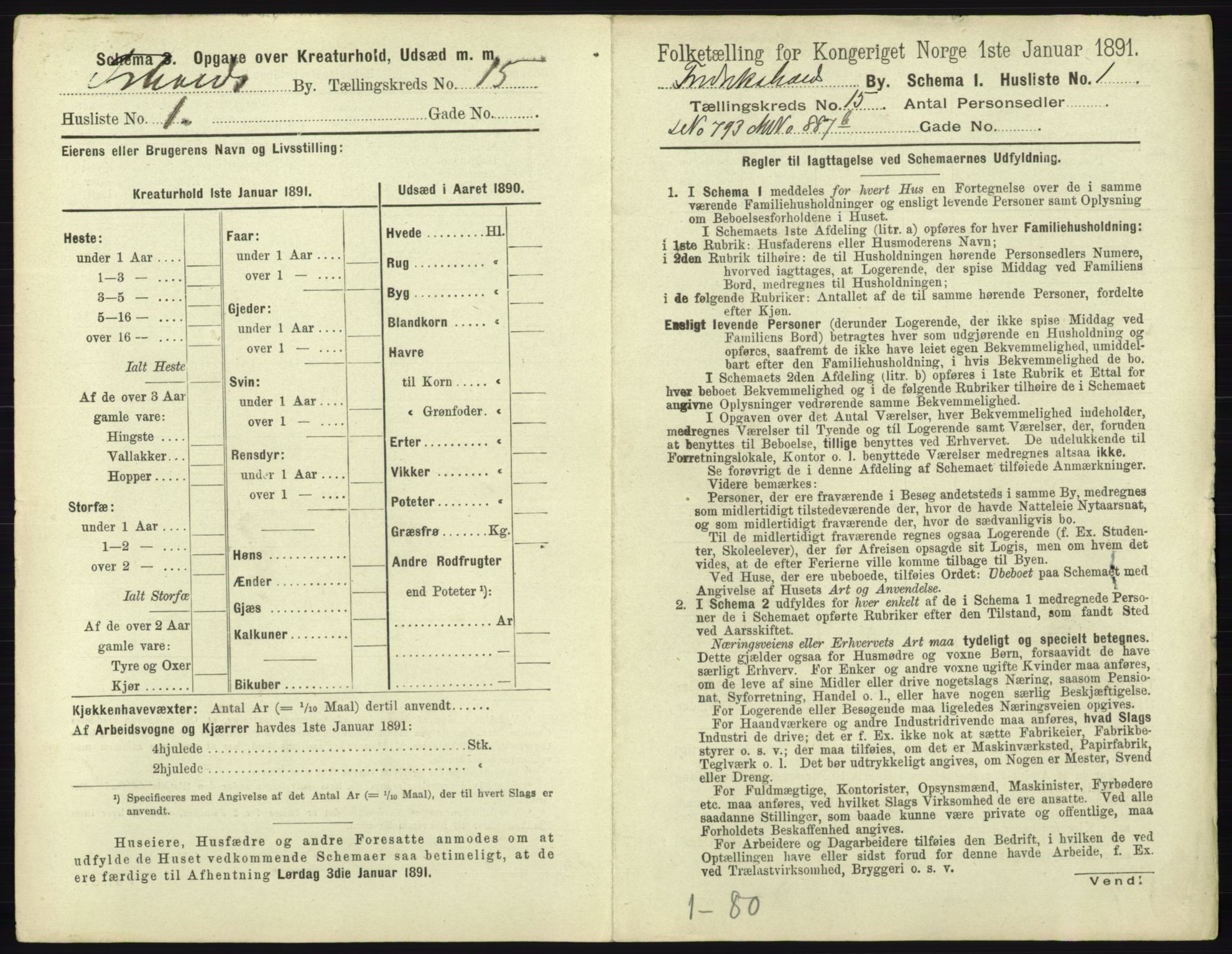 RA, 1891 census for 0101 Fredrikshald, 1891, p. 1314