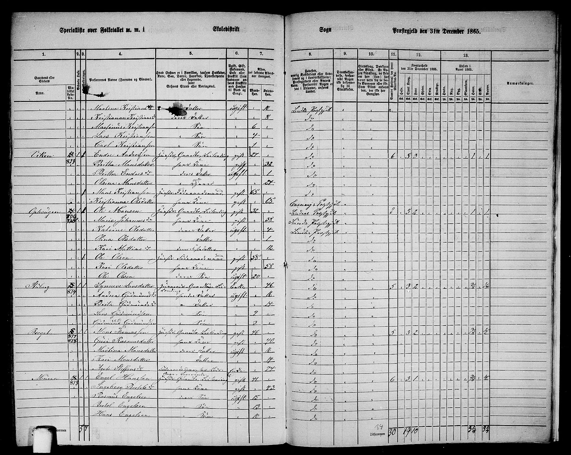 RA, 1865 census for Lindås, 1865, p. 294