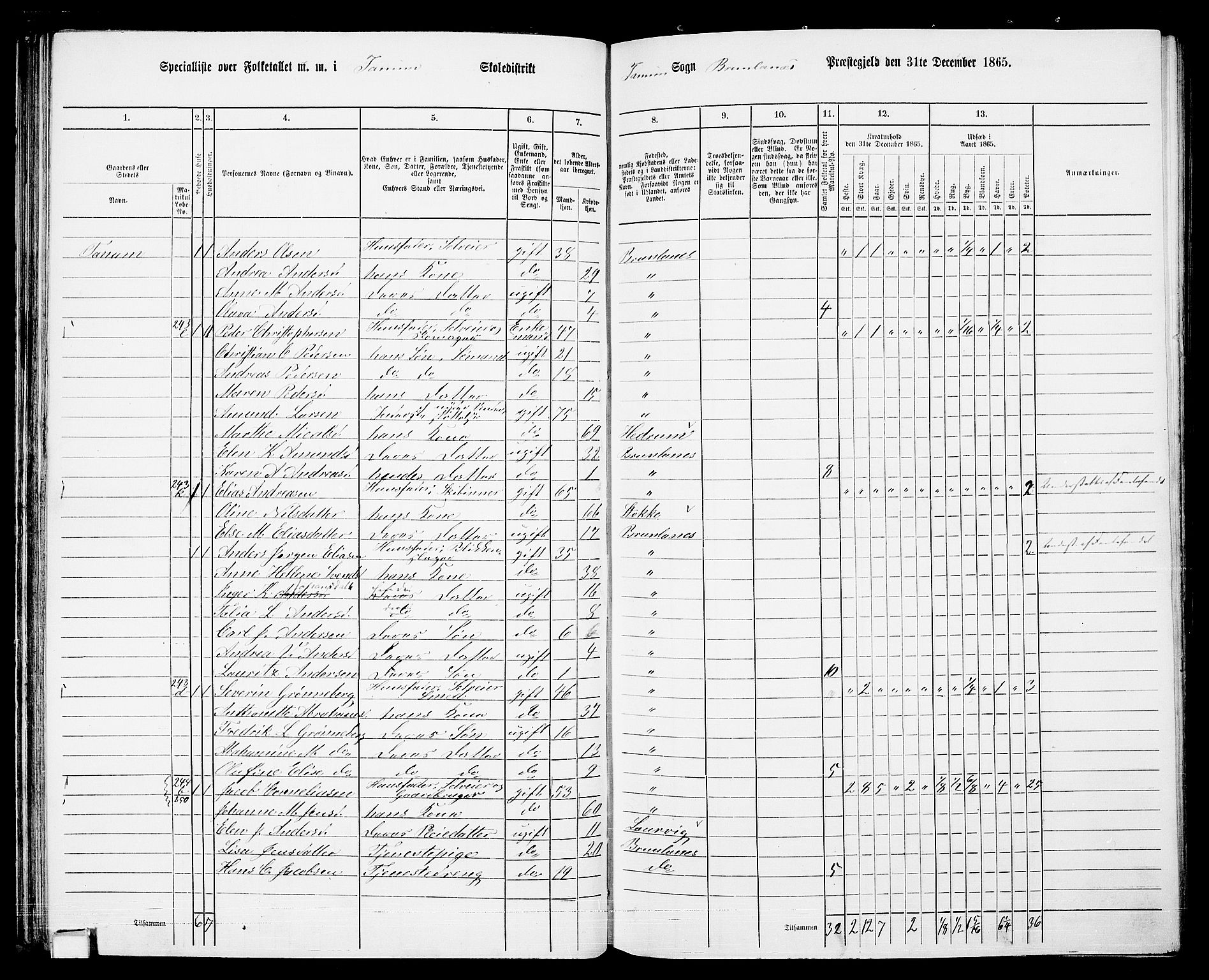 RA, 1865 census for Brunlanes, 1865, p. 66