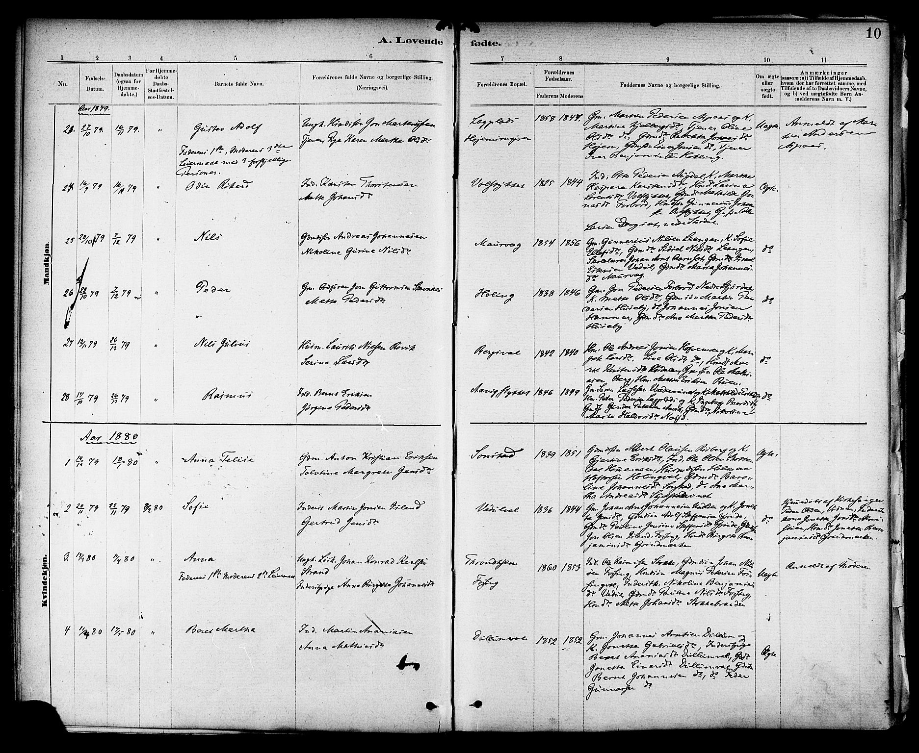 Ministerialprotokoller, klokkerbøker og fødselsregistre - Nord-Trøndelag, SAT/A-1458/714/L0130: Parish register (official) no. 714A01, 1878-1895, p. 10