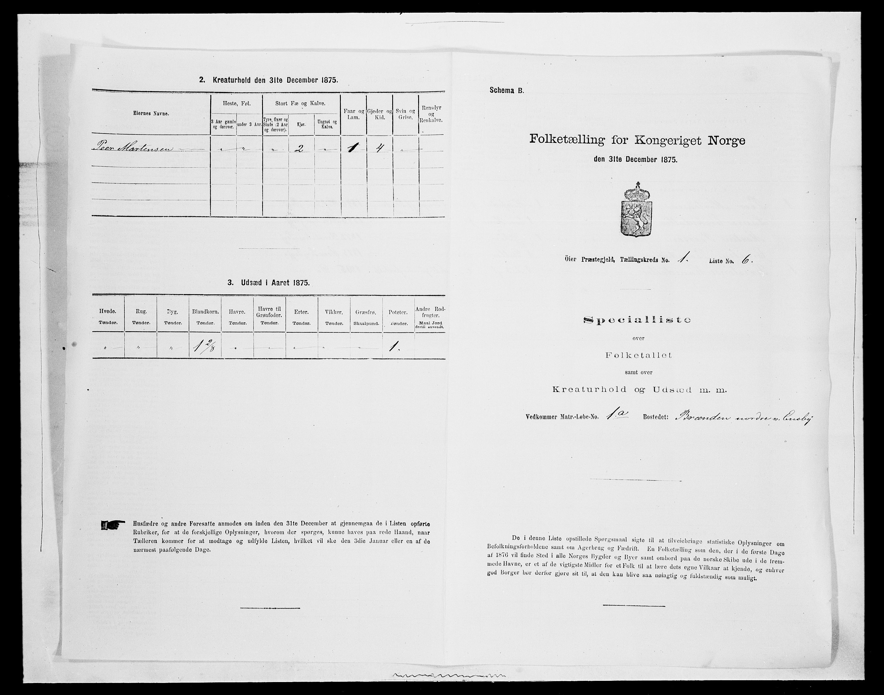 SAH, 1875 census for 0521P Øyer, 1875, p. 100