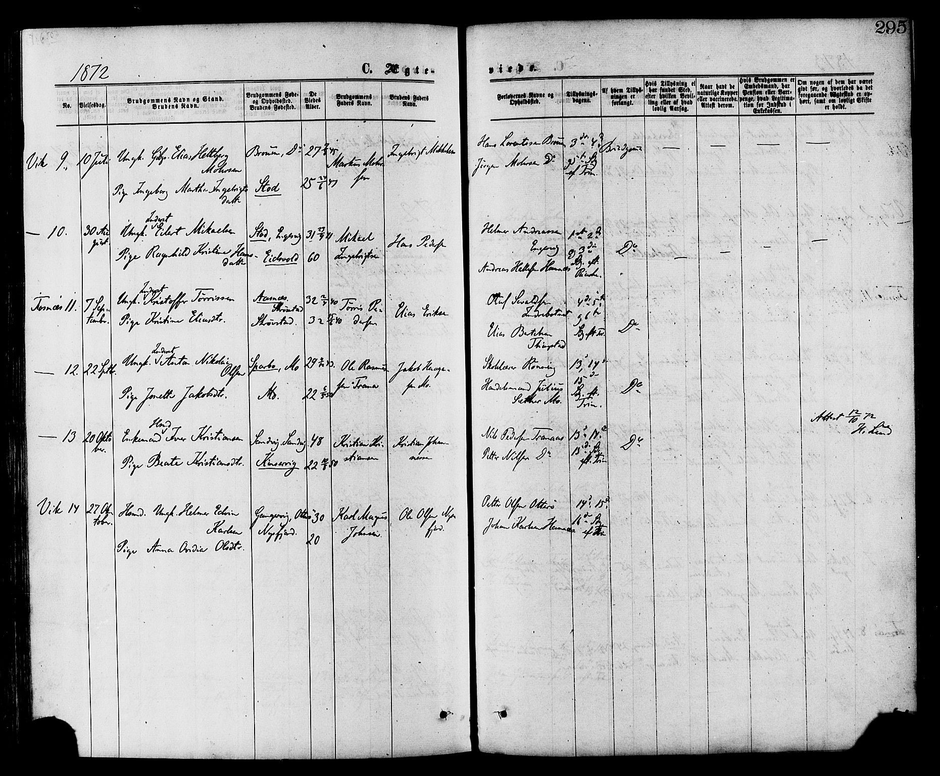 Ministerialprotokoller, klokkerbøker og fødselsregistre - Nord-Trøndelag, SAT/A-1458/773/L0616: Parish register (official) no. 773A07, 1870-1887, p. 295