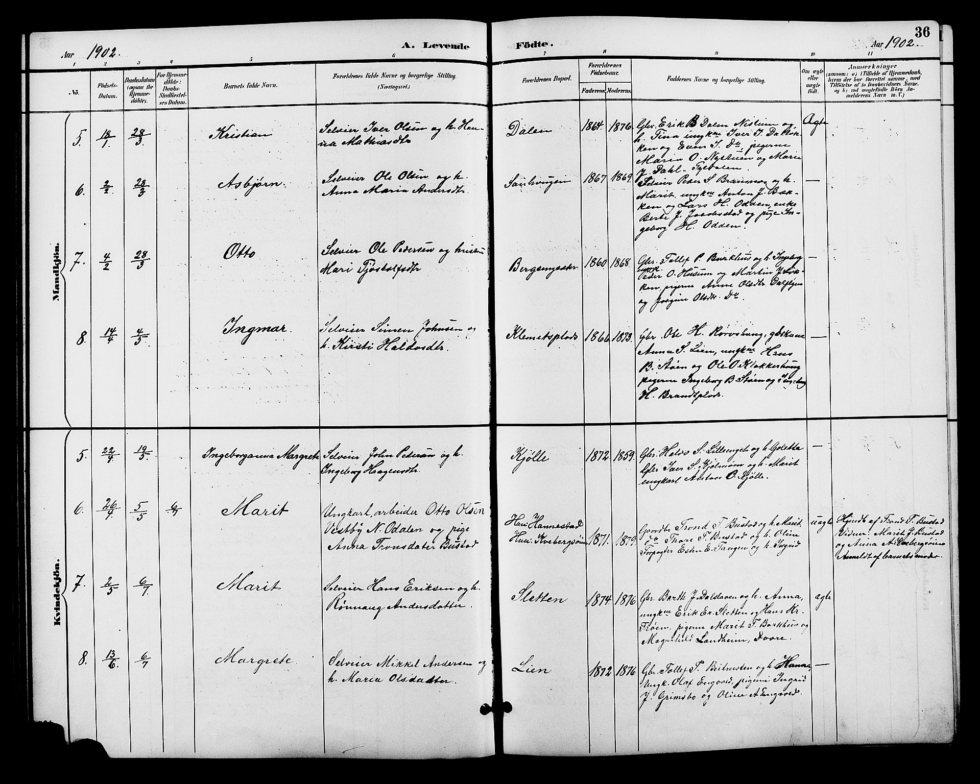 Alvdal prestekontor, AV/SAH-PREST-060/H/Ha/Hab/L0004: Parish register (copy) no. 4, 1894-1910, p. 36