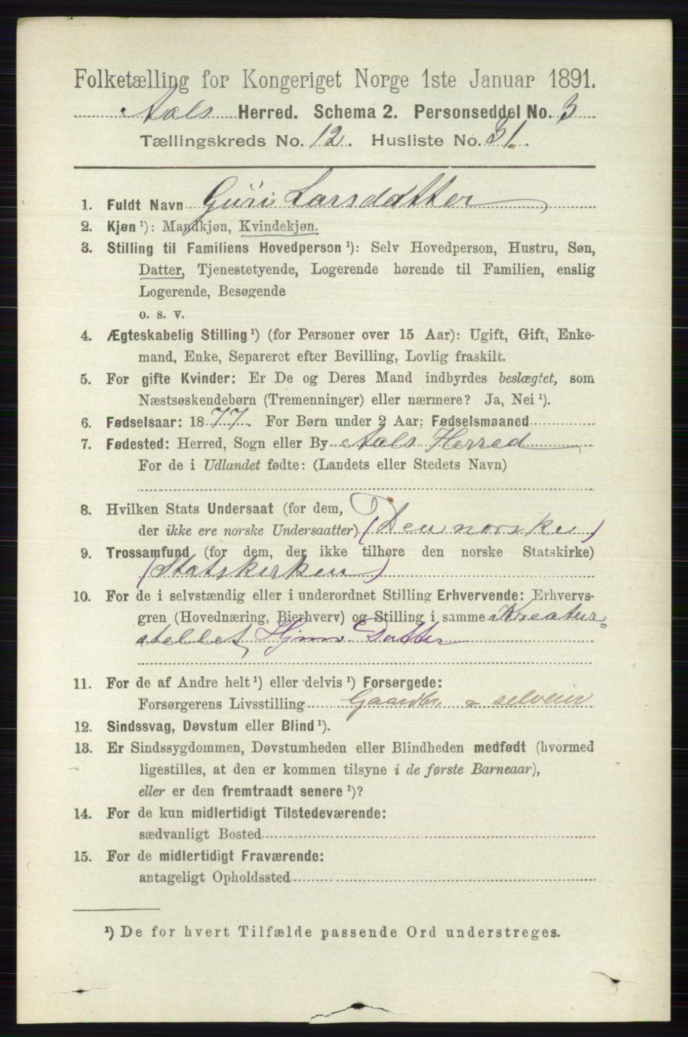 RA, 1891 census for 0619 Ål, 1891, p. 3185