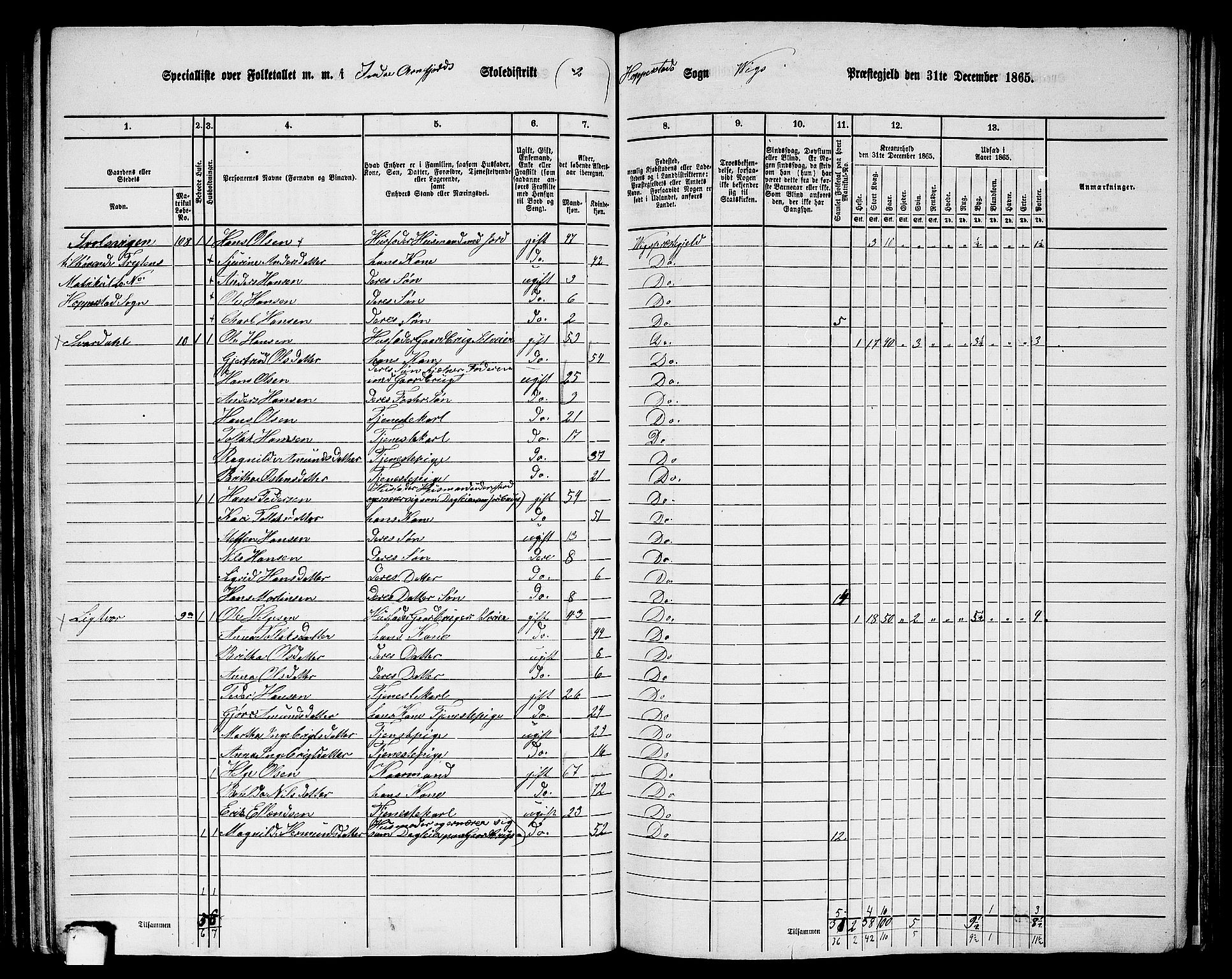 RA, 1865 census for Vik, 1865, p. 105