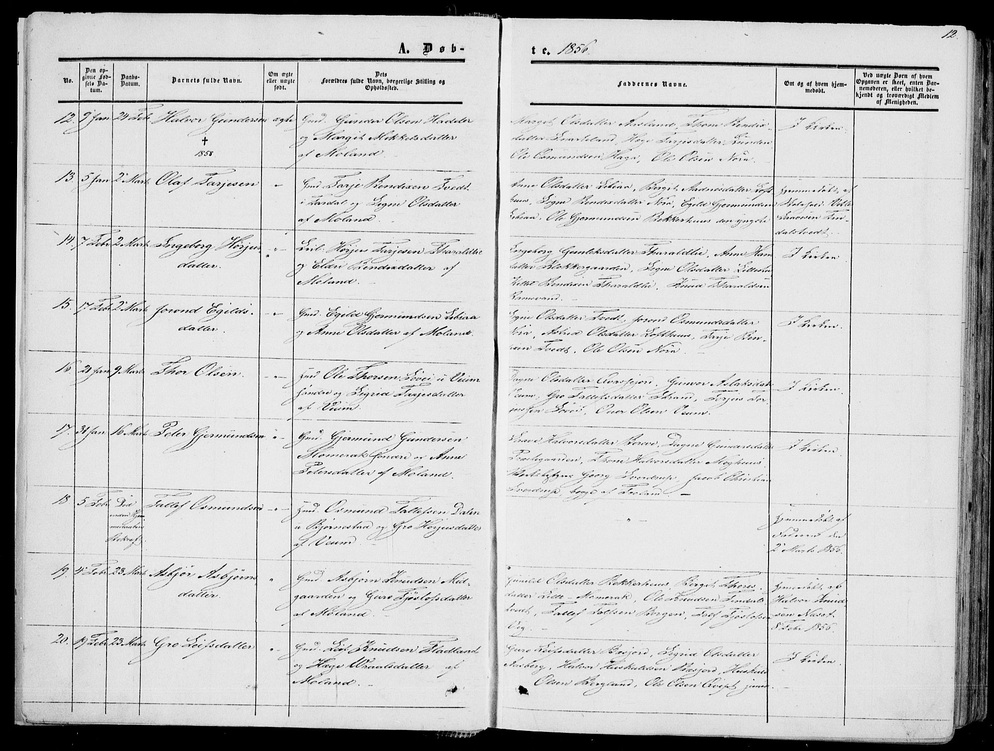 Fyresdal kirkebøker, AV/SAKO-A-263/F/Fa/L0005: Parish register (official) no. I 5, 1855-1871, p. 12