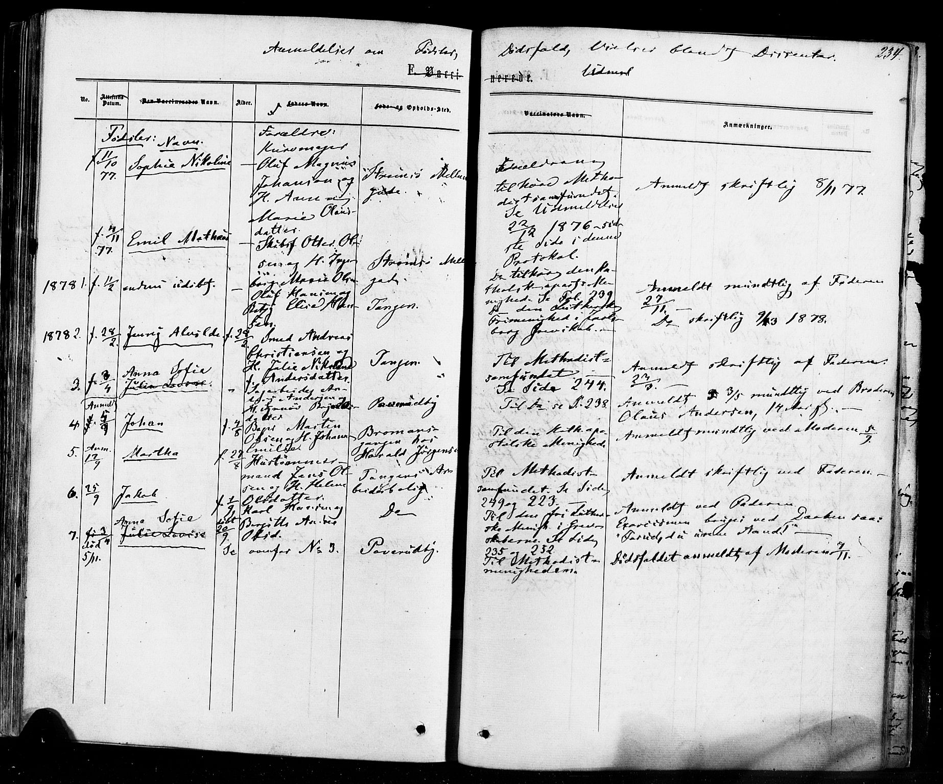 Strømsø kirkebøker, AV/SAKO-A-246/F/Fa/L0018: Parish register (official) no. I 18, 1865-1878, p. 234