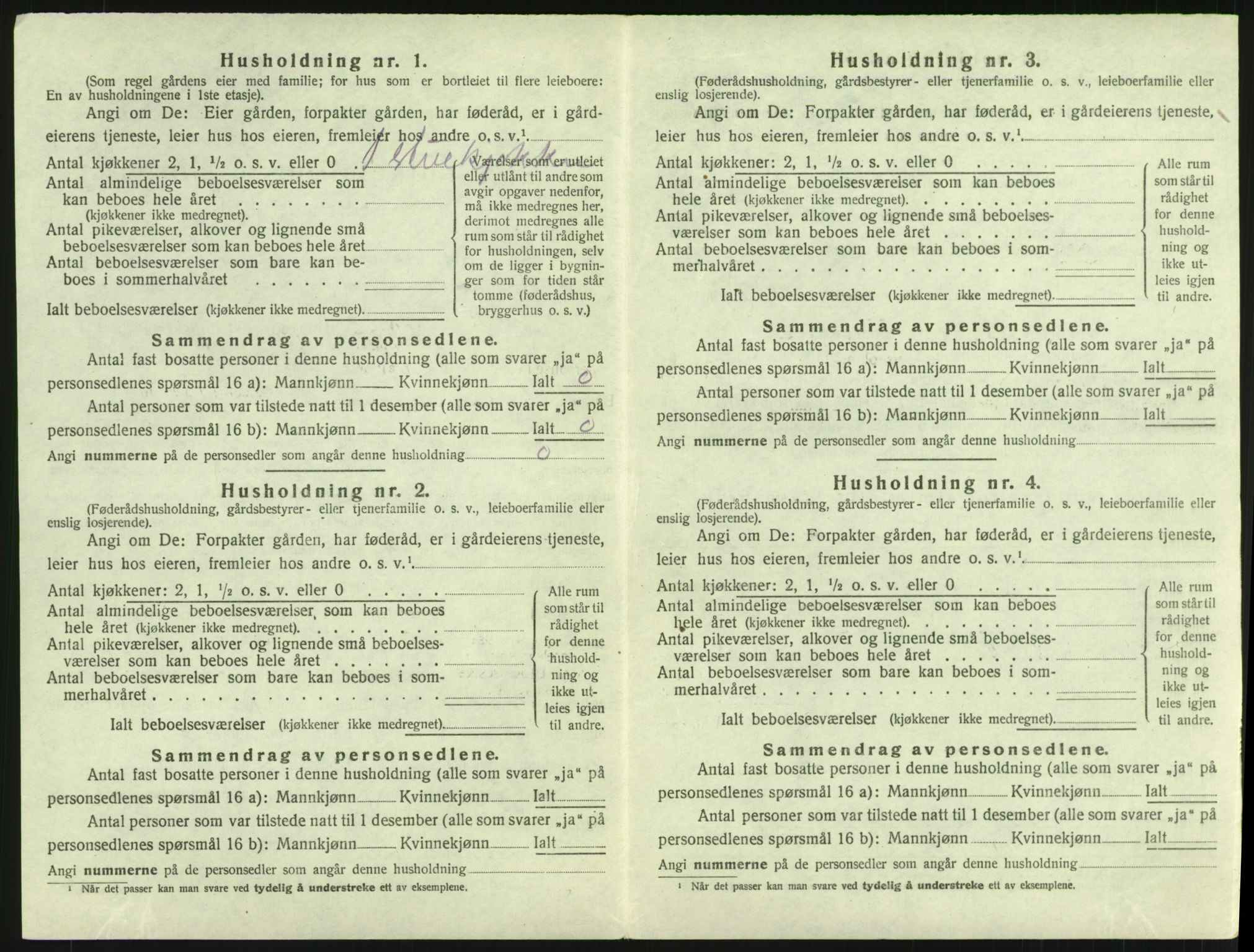 SAH, 1920 census for Heidal, 1920, p. 491