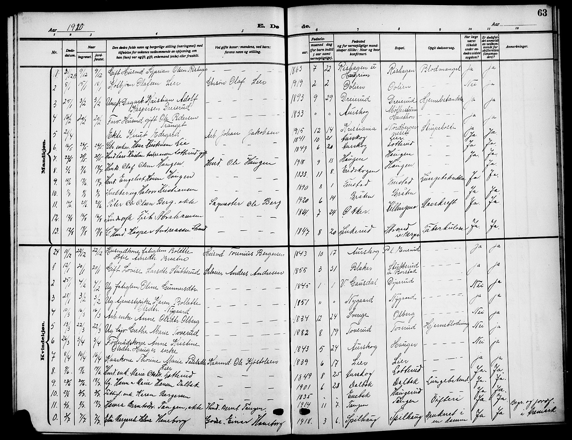 Aurskog prestekontor Kirkebøker, AV/SAO-A-10304a/G/Ga/L0005: Parish register (copy) no. I 5, 1913-1925, p. 63