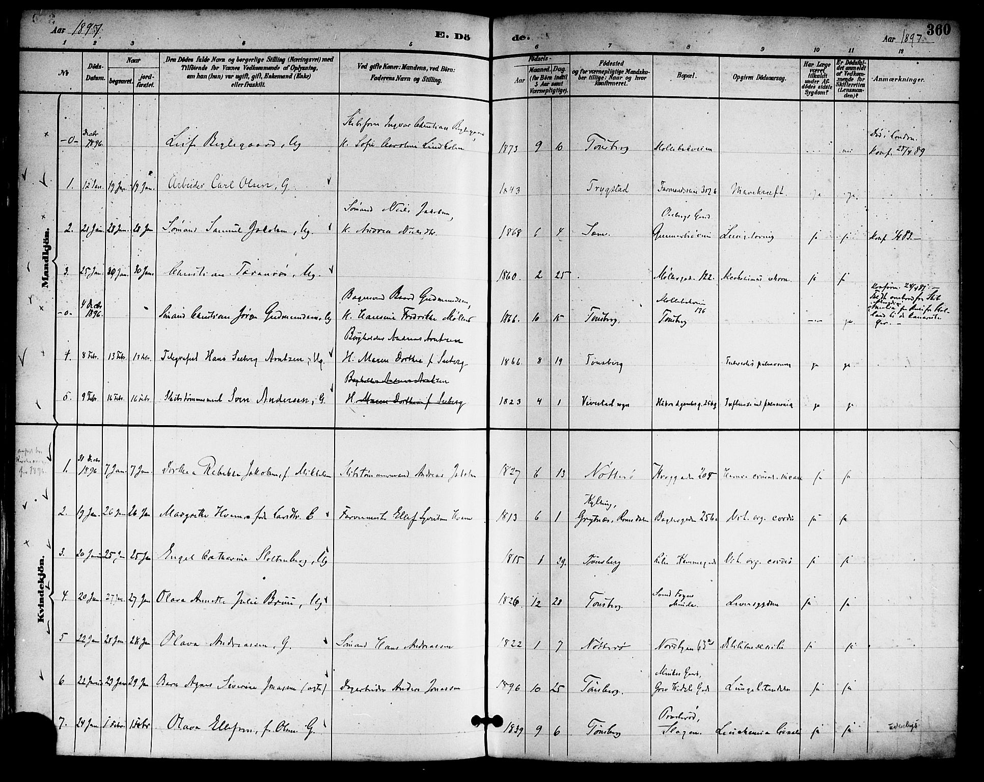 Tønsberg kirkebøker, SAKO/A-330/F/Fa/L0012: Parish register (official) no. I 12, 1891-1899, p. 360