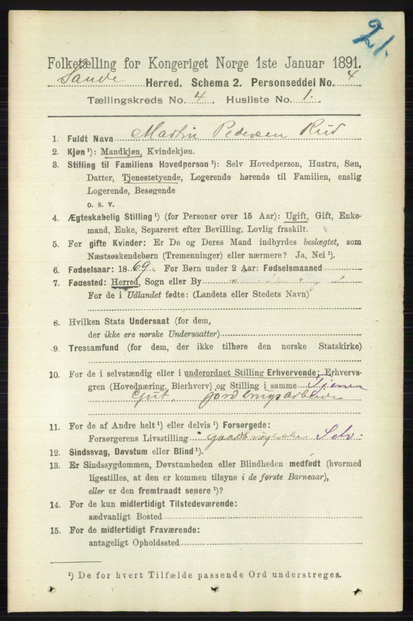 RA, 1891 census for 0713 Sande, 1891, p. 1487