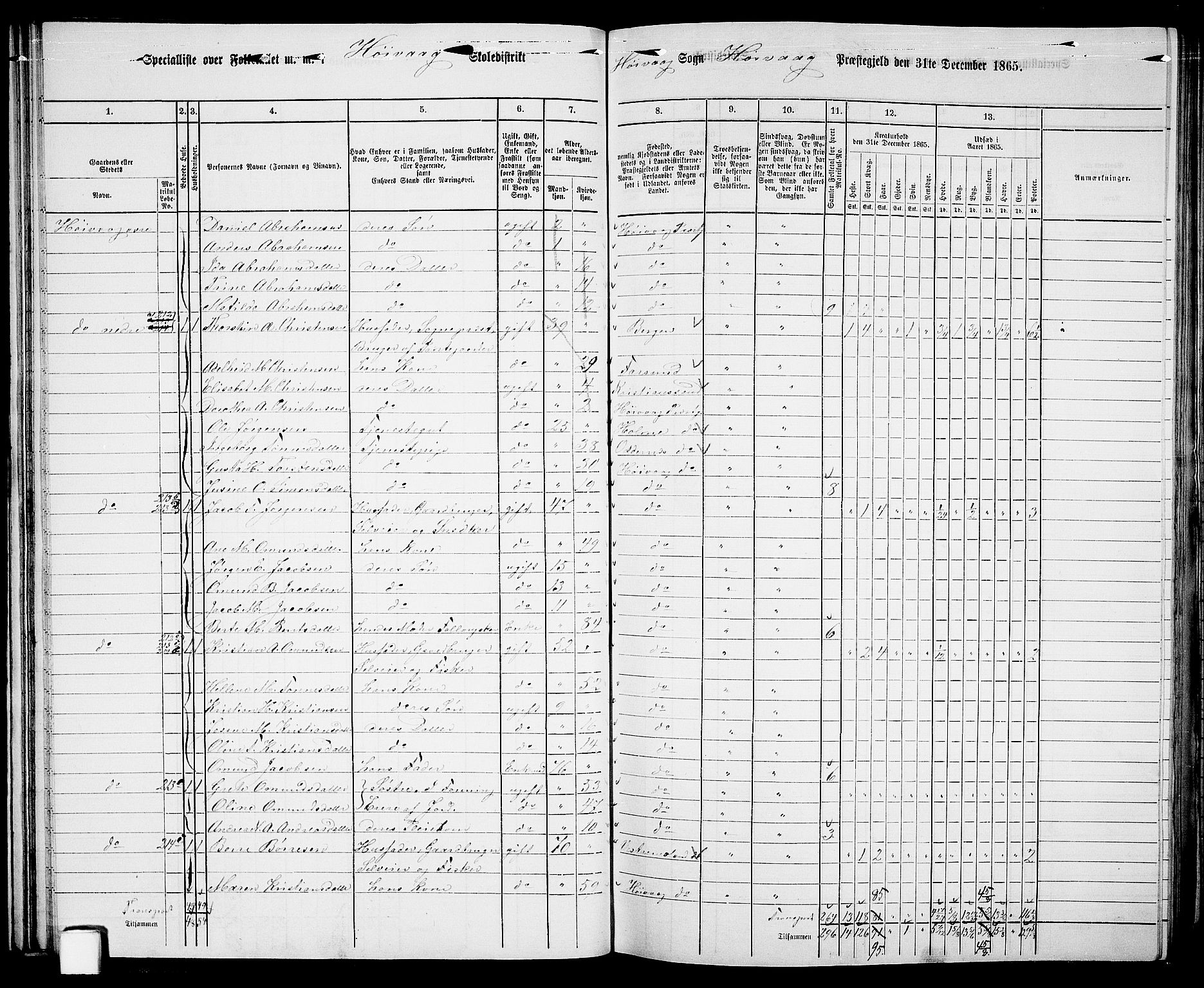 RA, 1865 census for Høvåg, 1865, p. 45