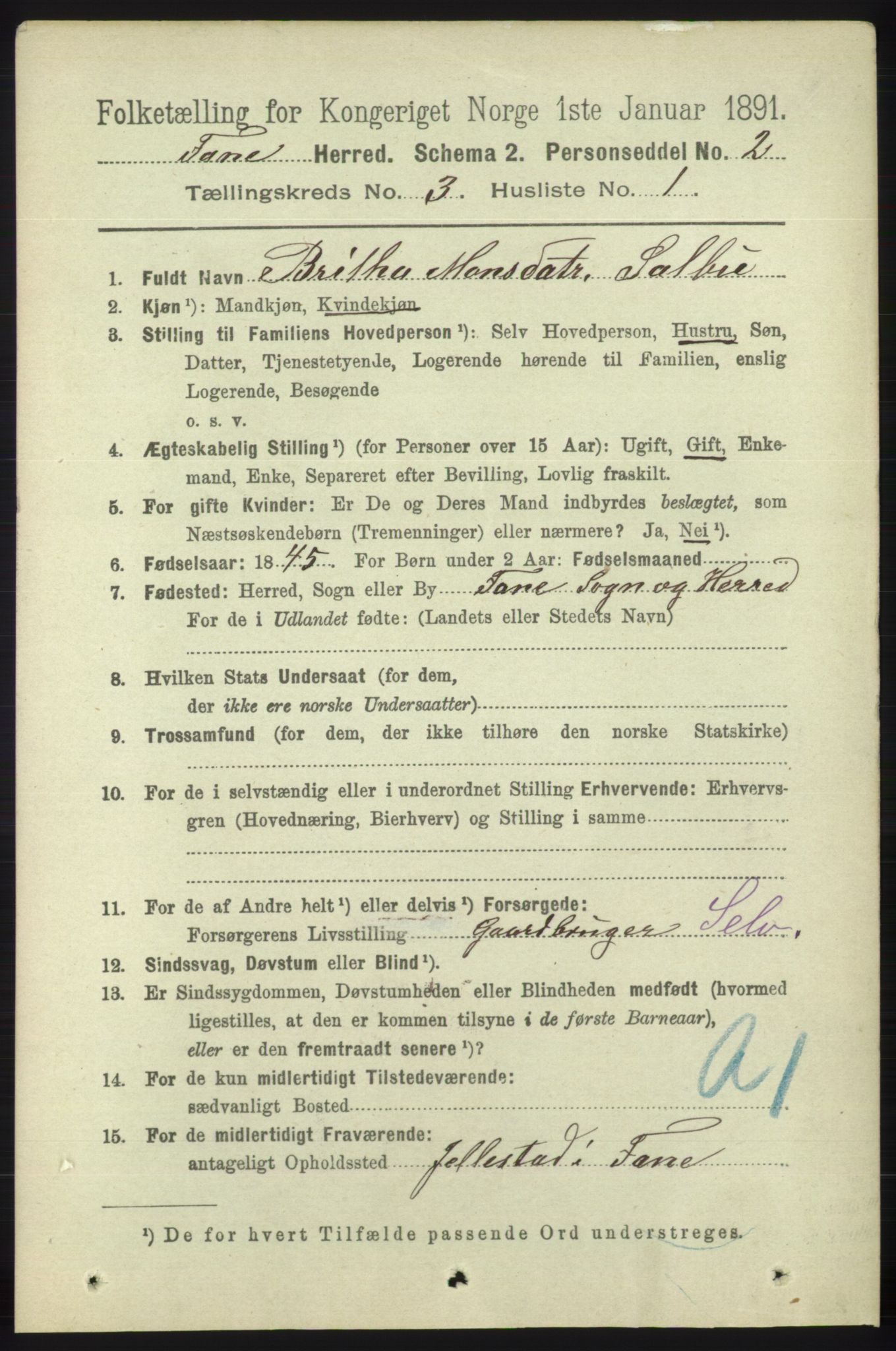 RA, 1891 census for 1249 Fana, 1891, p. 876