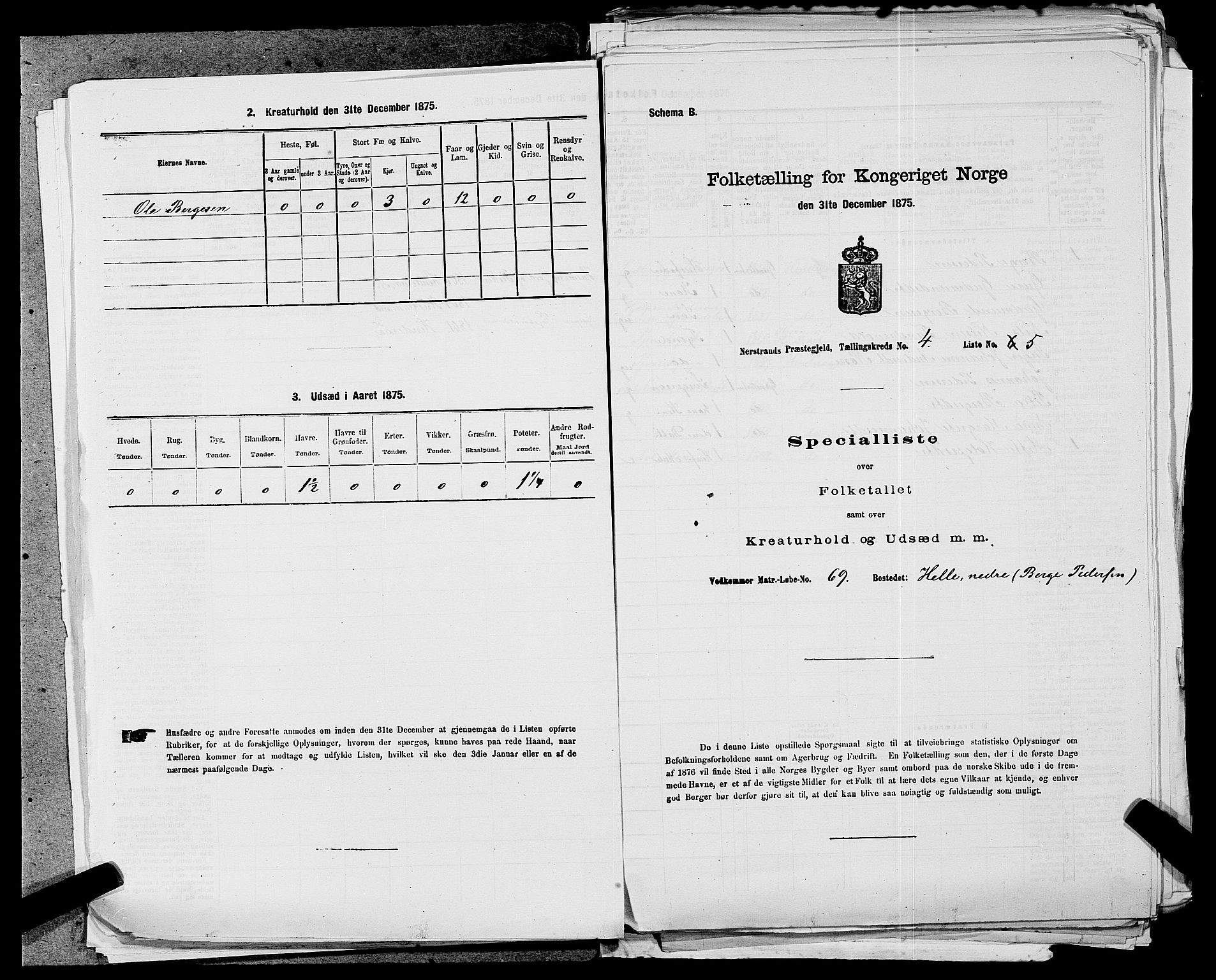 SAST, 1875 census for 1139P Nedstrand, 1875, p. 155