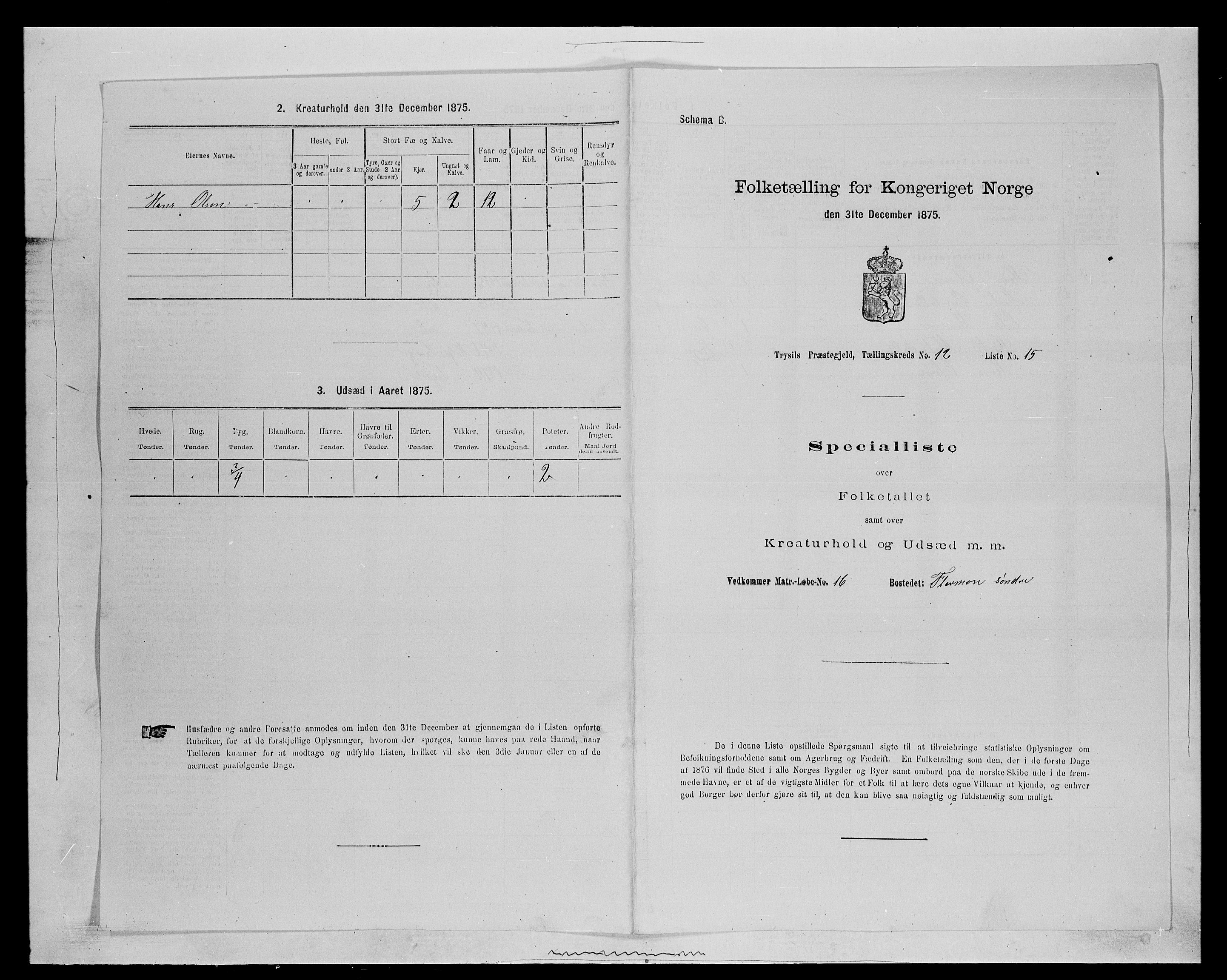 SAH, 1875 census for 0428P Trysil, 1875, p. 1354