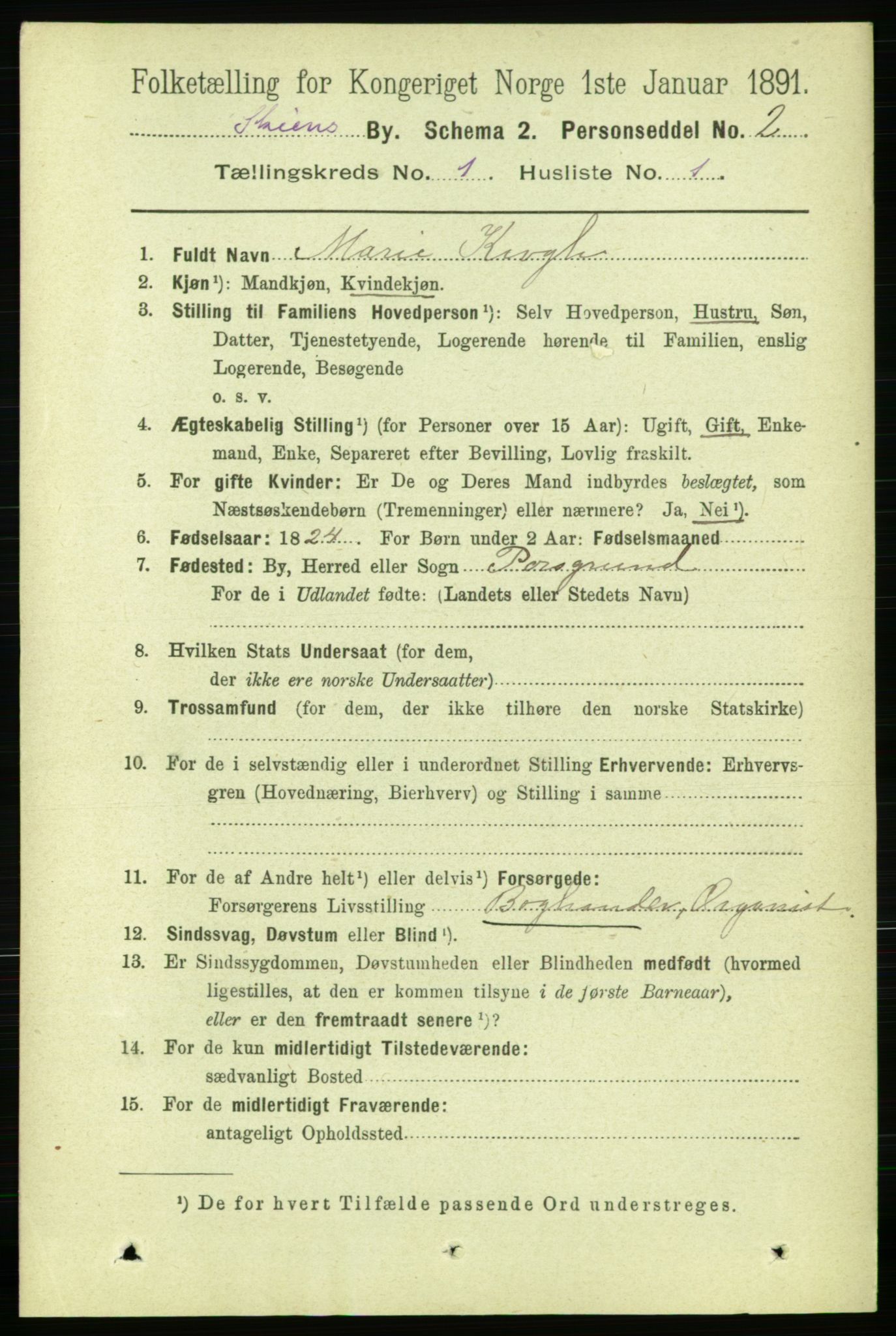 RA, 1891 census for 0806 Skien, 1891, p. 2148