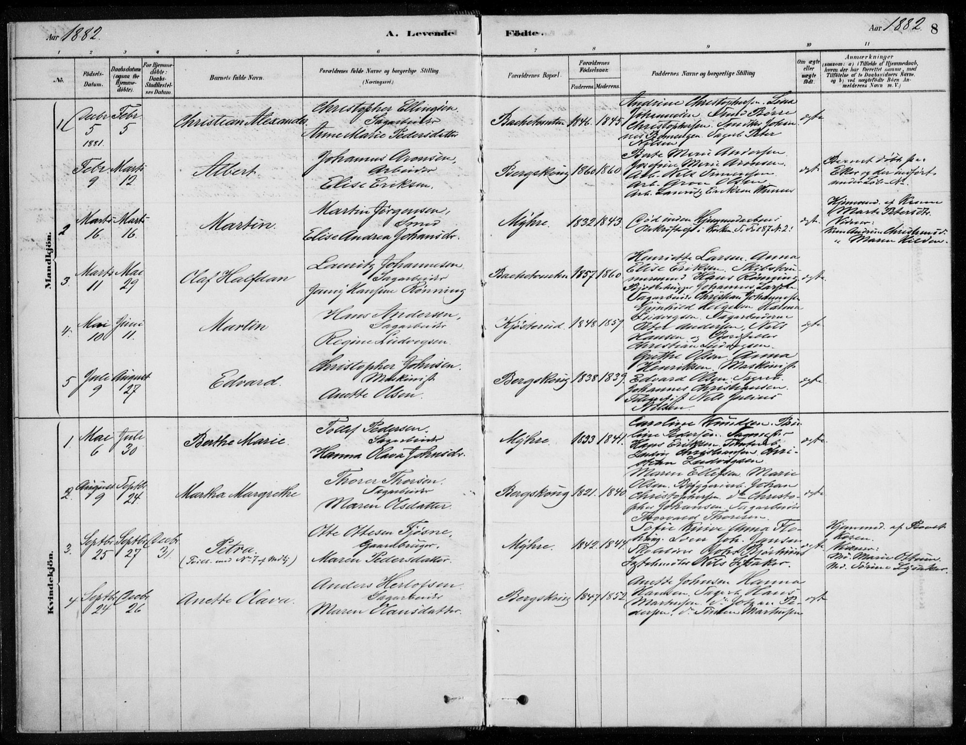 Åssiden kirkebøker, SAKO/A-251/F/Fa/L0001: Parish register (official) no. 1, 1878-1904, p. 8