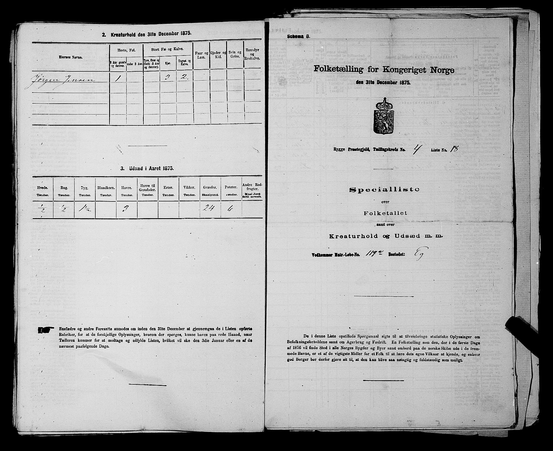 RA, 1875 census for 0136P Rygge, 1875, p. 800