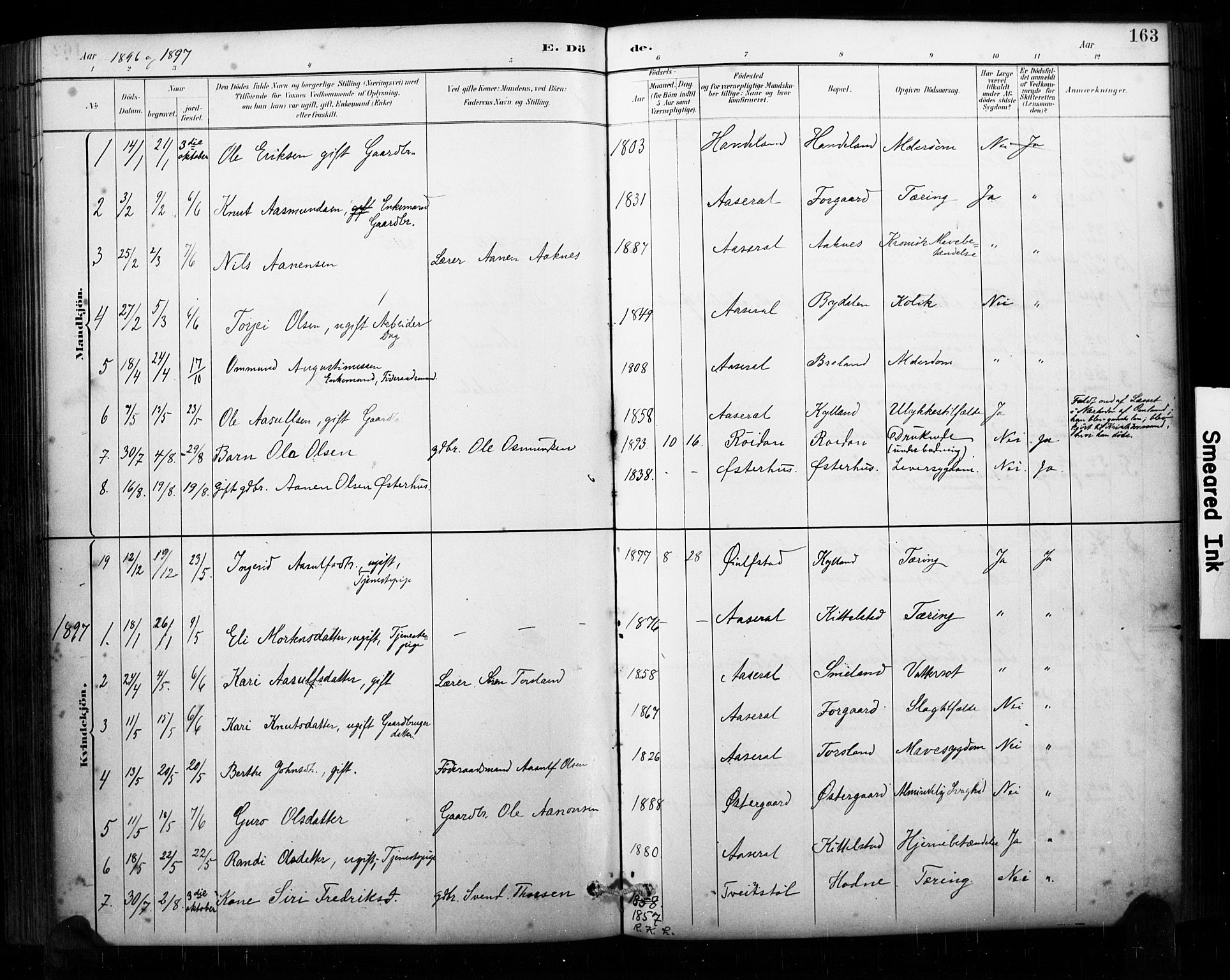 Åseral sokneprestkontor, SAK/1111-0051/F/Fa/L0003: Parish register (official) no. A 3, 1884-1901, p. 163