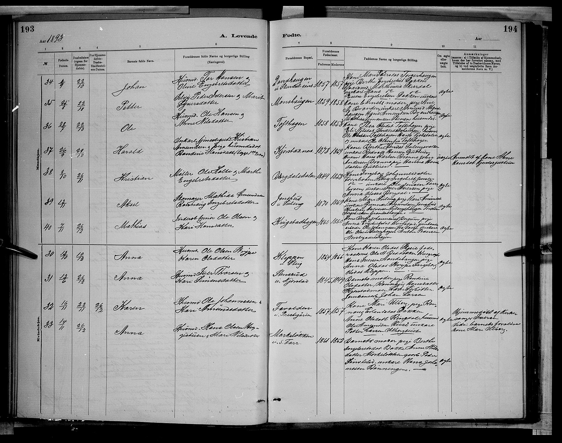 Sør-Fron prestekontor, SAH/PREST-010/H/Ha/Hab/L0003: Parish register (copy) no. 3, 1884-1896, p. 193-194