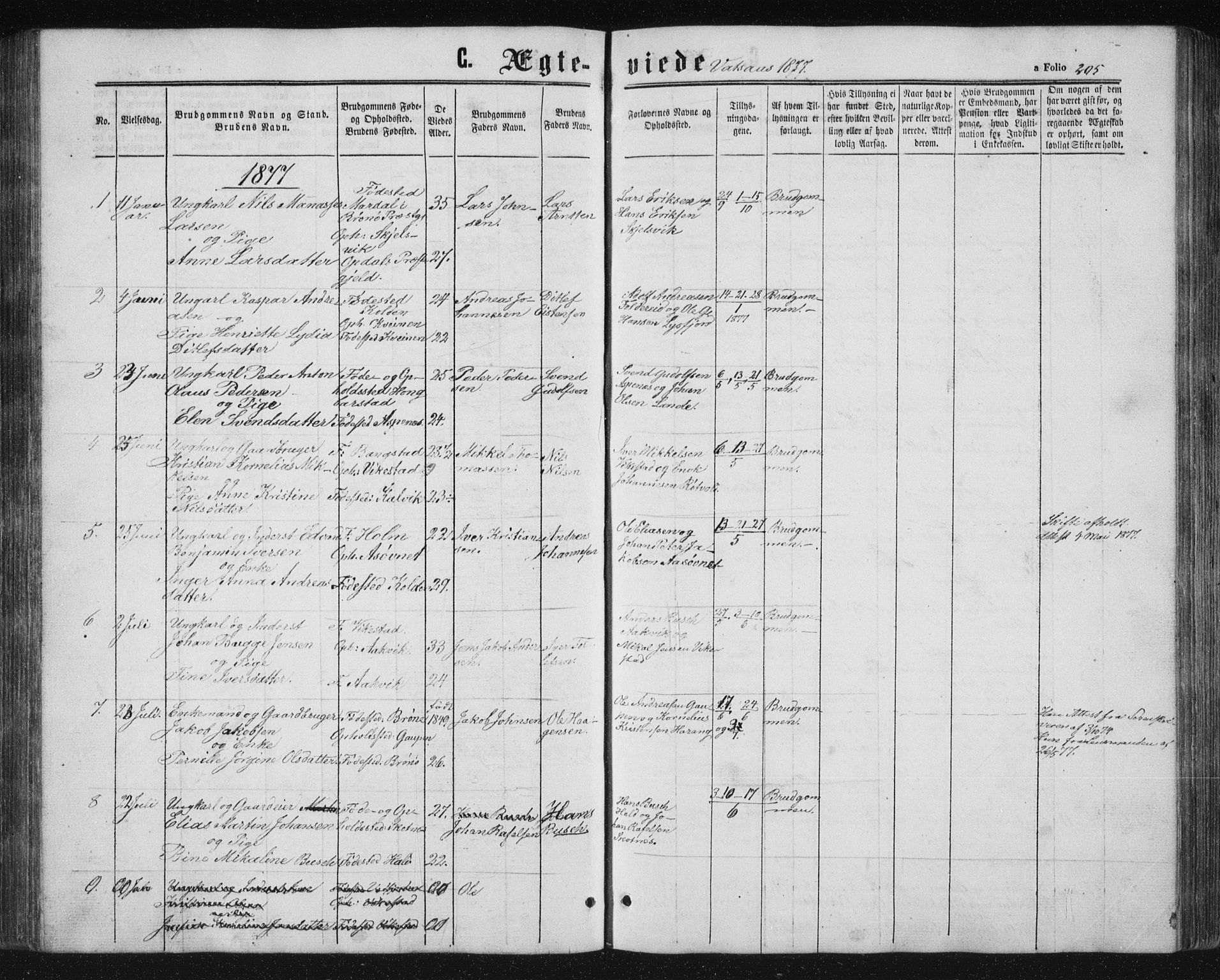 Ministerialprotokoller, klokkerbøker og fødselsregistre - Nordland, AV/SAT-A-1459/810/L0158: Parish register (copy) no. 810C02 /1, 1863-1883, p. 205