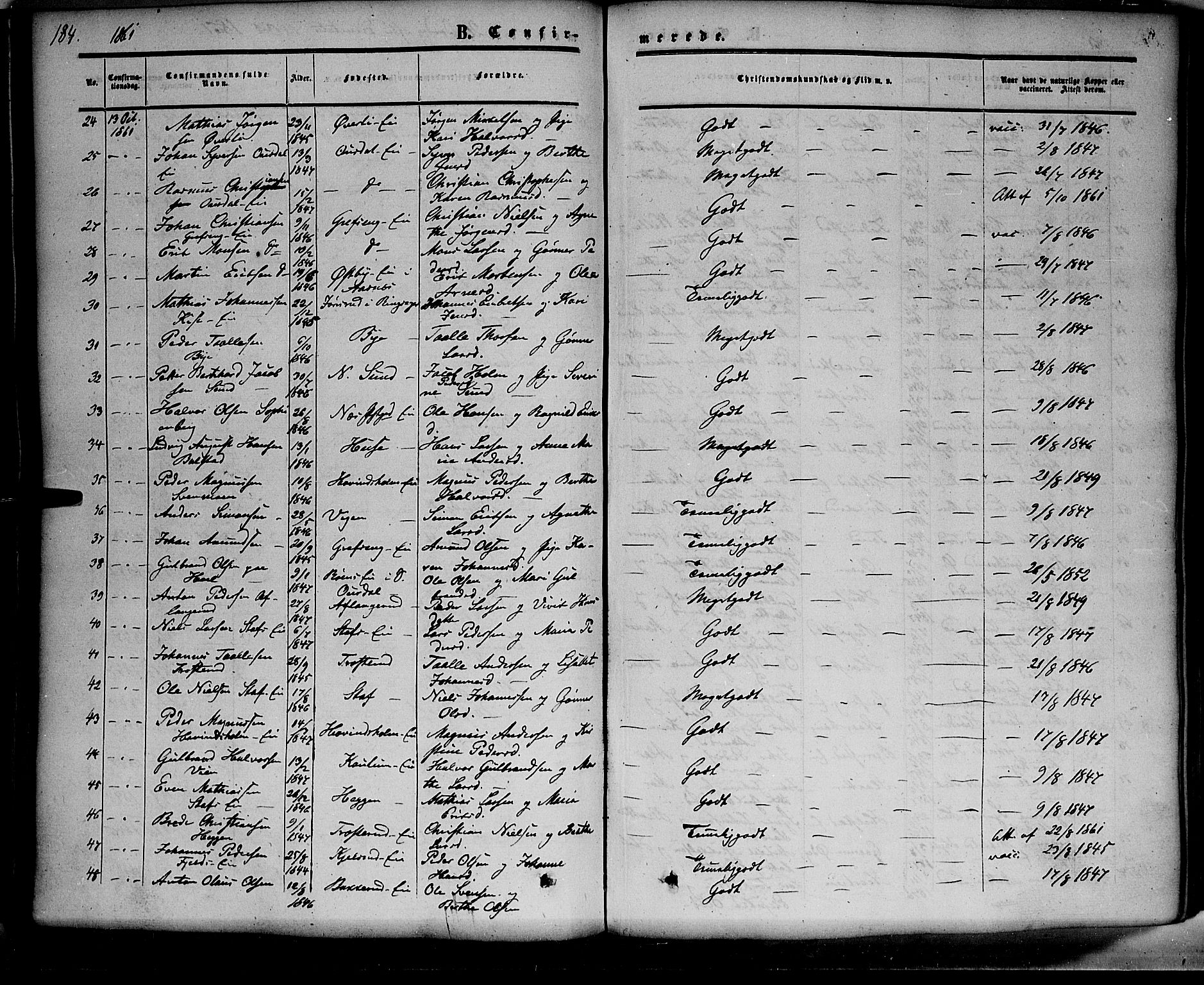 Nes prestekontor, Hedmark, AV/SAH-PREST-020/K/Ka/L0004: Parish register (official) no. 4, 1852-1886, p. 184