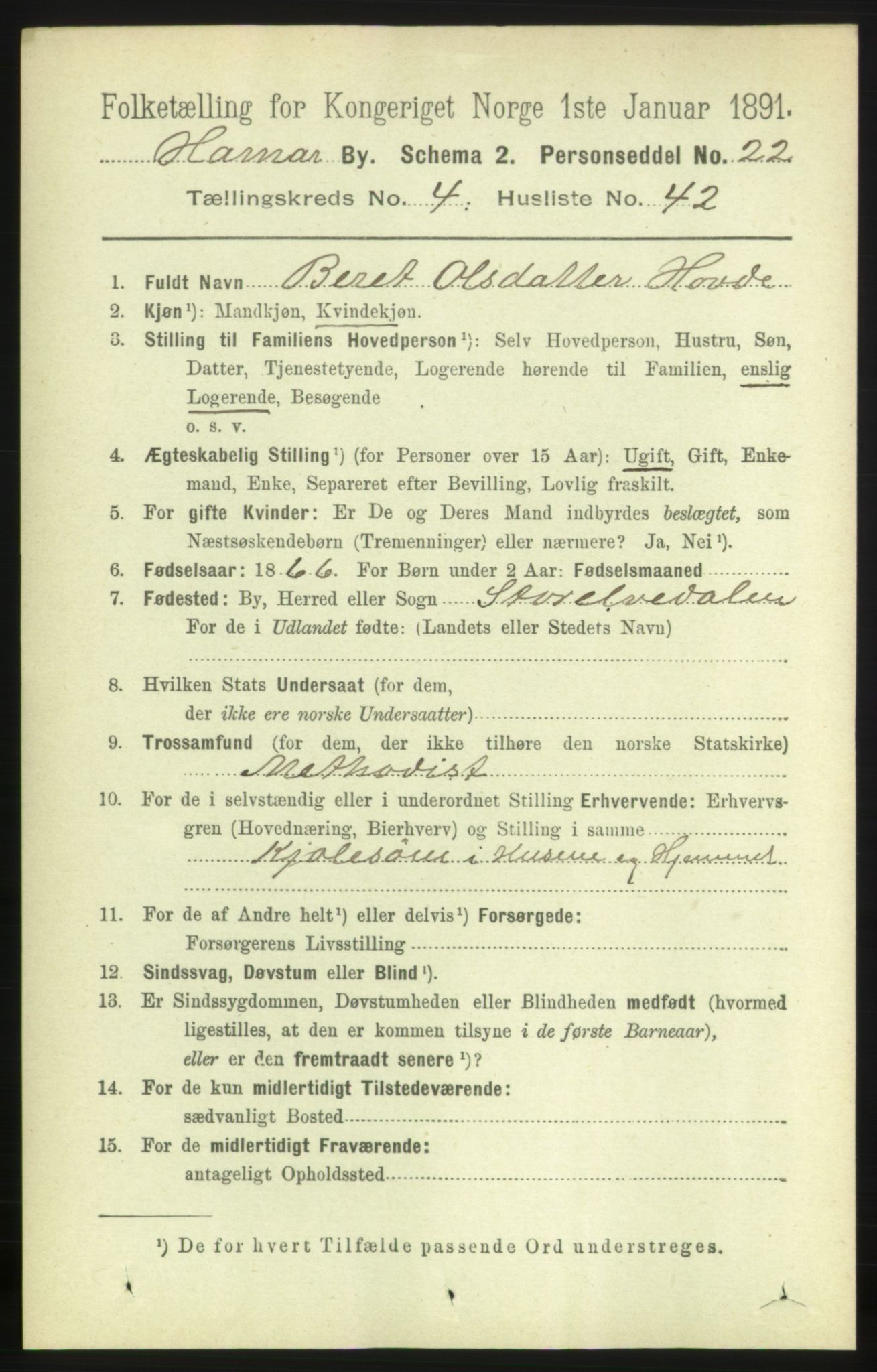 RA, 1891 census for 0401 Hamar, 1891, p. 3614