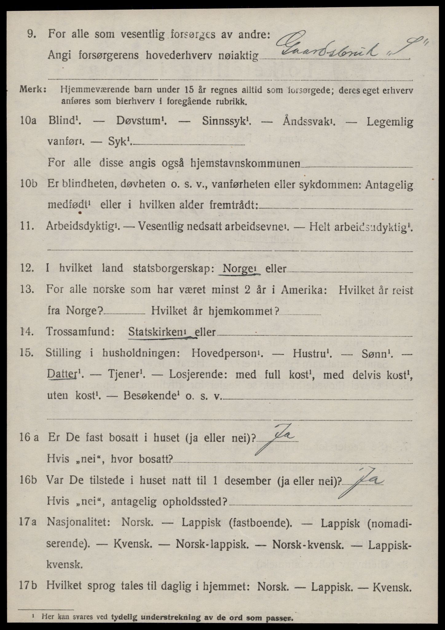 SAT, 1920 census for Hemne, 1920, p. 6563