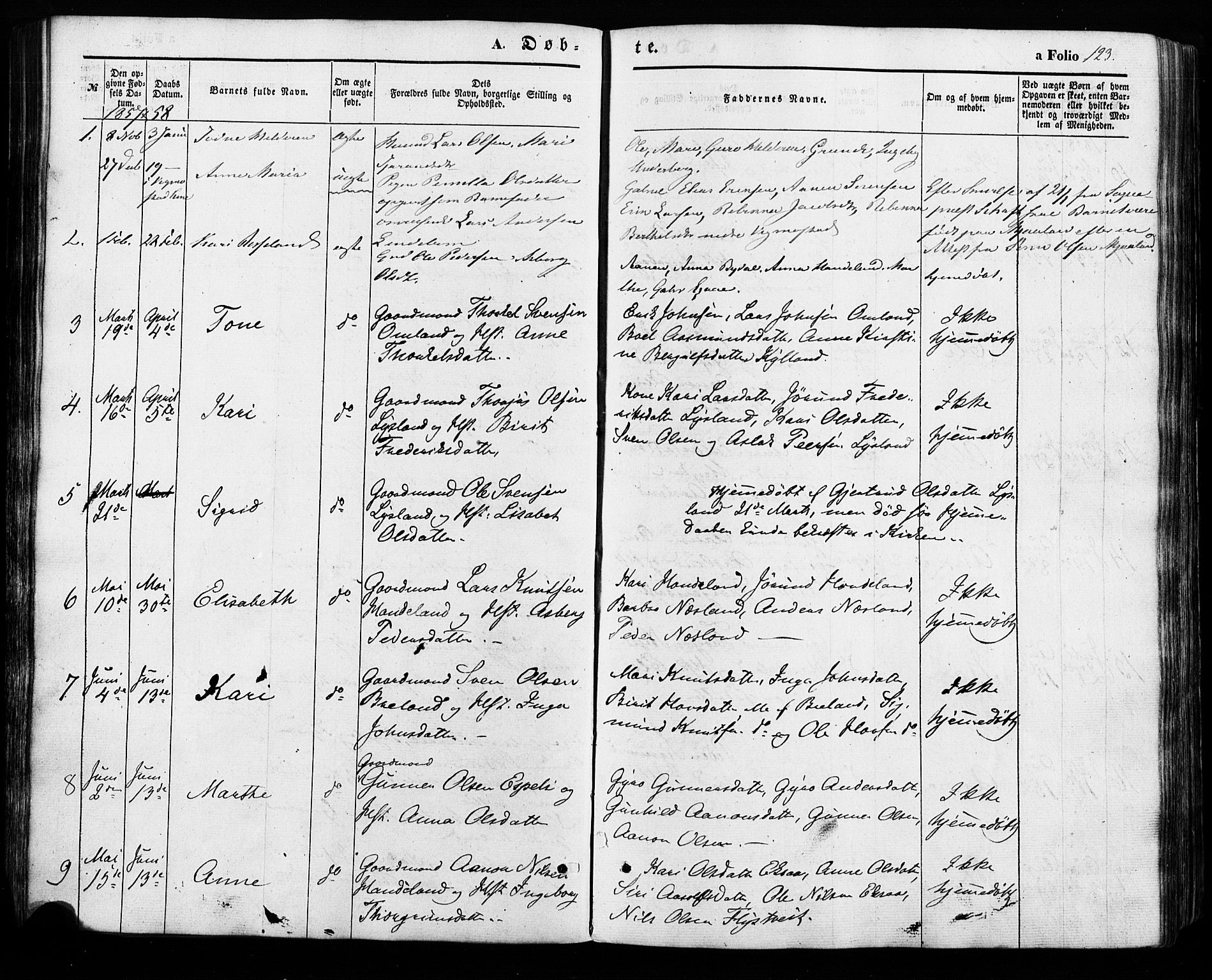 Åseral sokneprestkontor, SAK/1111-0051/F/Fa/L0002: Parish register (official) no. A 2, 1854-1884, p. 123