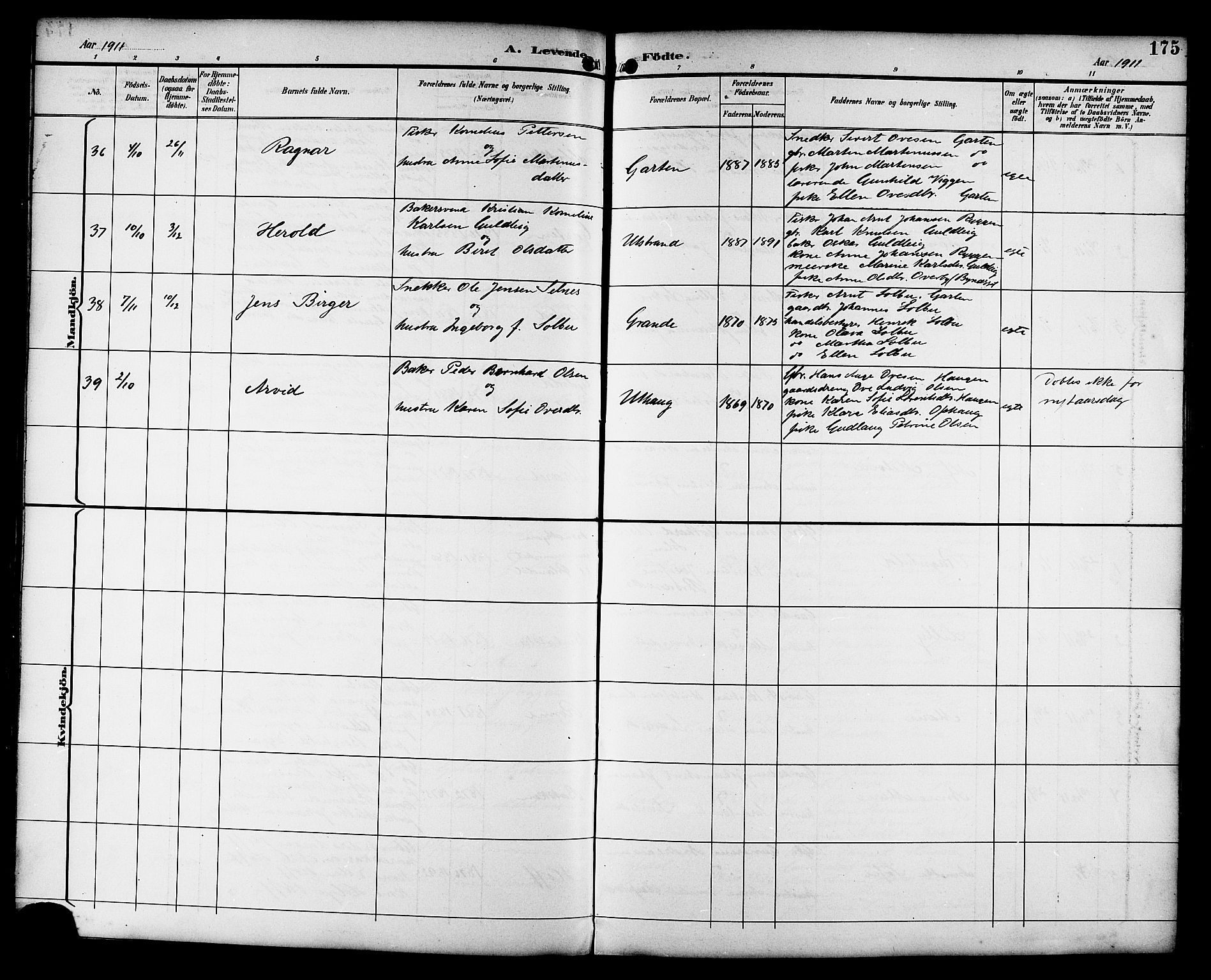 Ministerialprotokoller, klokkerbøker og fødselsregistre - Sør-Trøndelag, SAT/A-1456/659/L0746: Parish register (copy) no. 659C03, 1893-1912, p. 175
