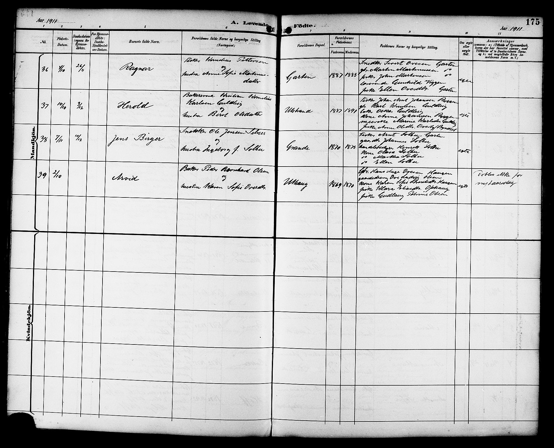 Ministerialprotokoller, klokkerbøker og fødselsregistre - Sør-Trøndelag, AV/SAT-A-1456/659/L0746: Parish register (copy) no. 659C03, 1893-1912, p. 175