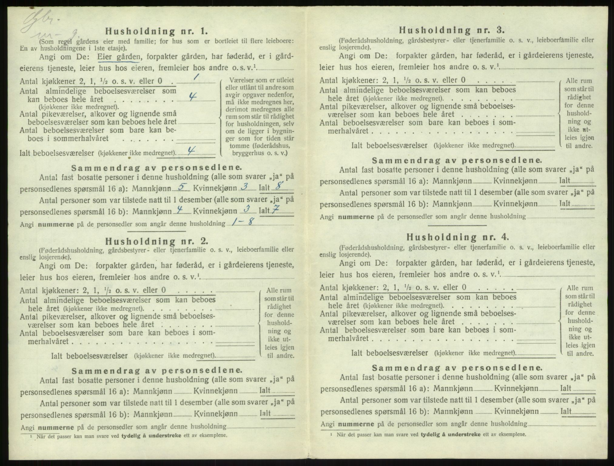 SAB, 1920 census for Sogndal, 1920, p. 1100