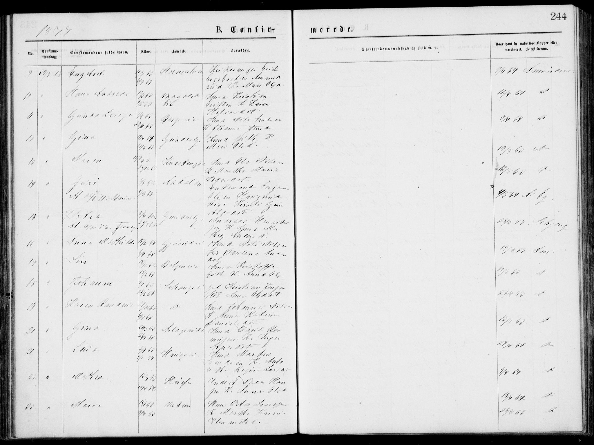 Norderhov kirkebøker, SAKO/A-237/G/Gb/L0001: Parish register (copy) no. II 1, 1876-1899, p. 244
