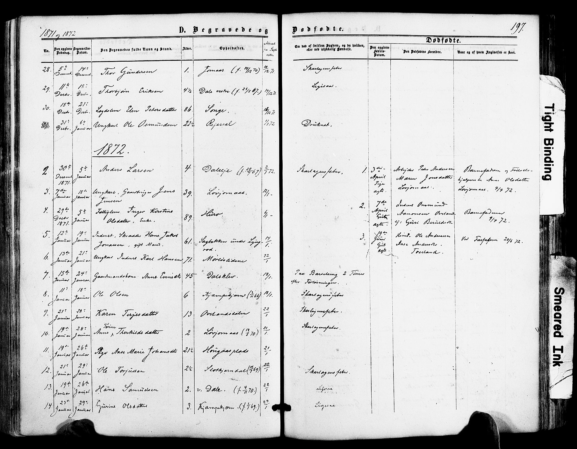 Froland sokneprestkontor, SAK/1111-0013/F/Fa/L0003: Parish register (official) no. A 3, 1864-1881, p. 197