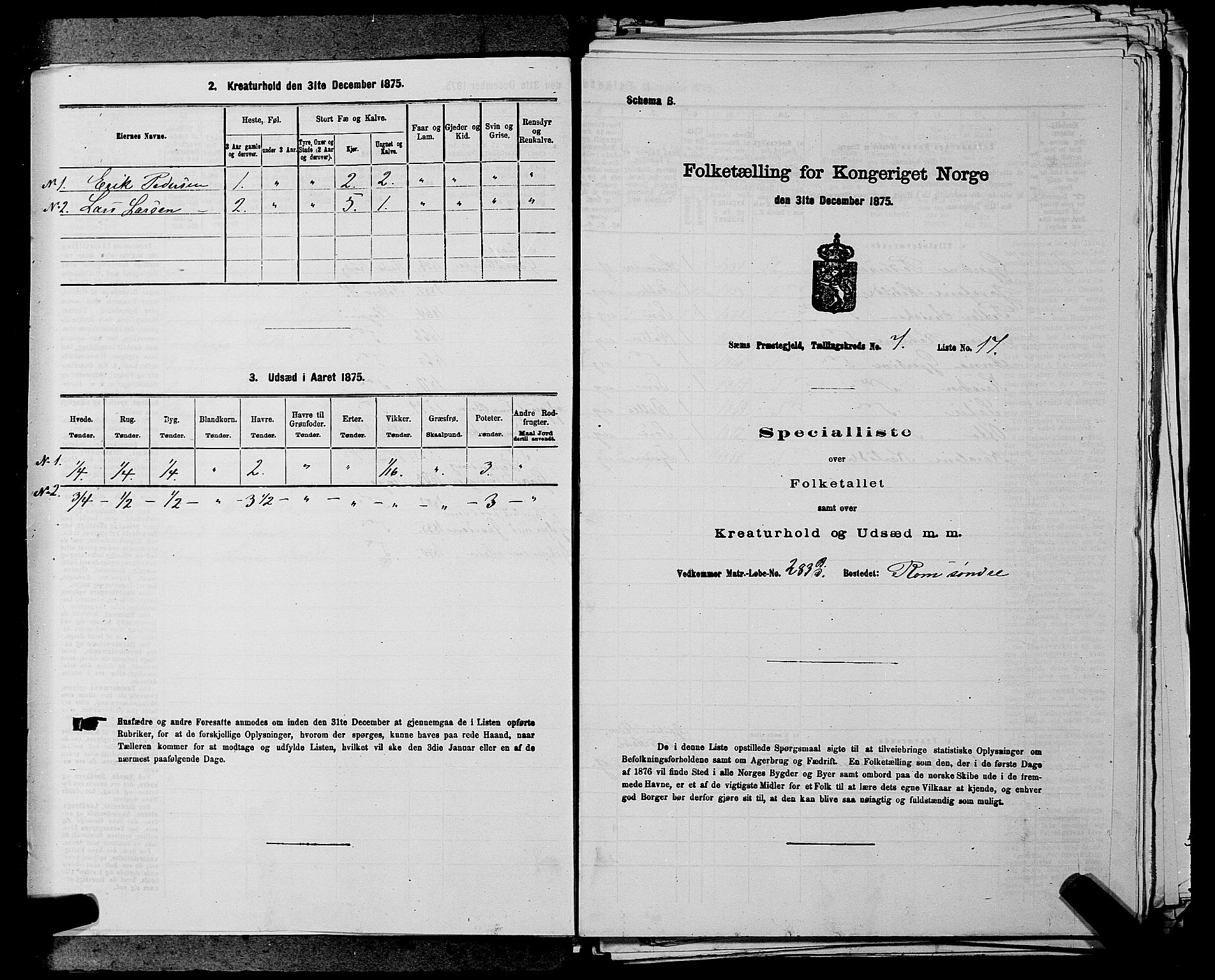 SAKO, 1875 census for 0721P Sem, 1875, p. 1166