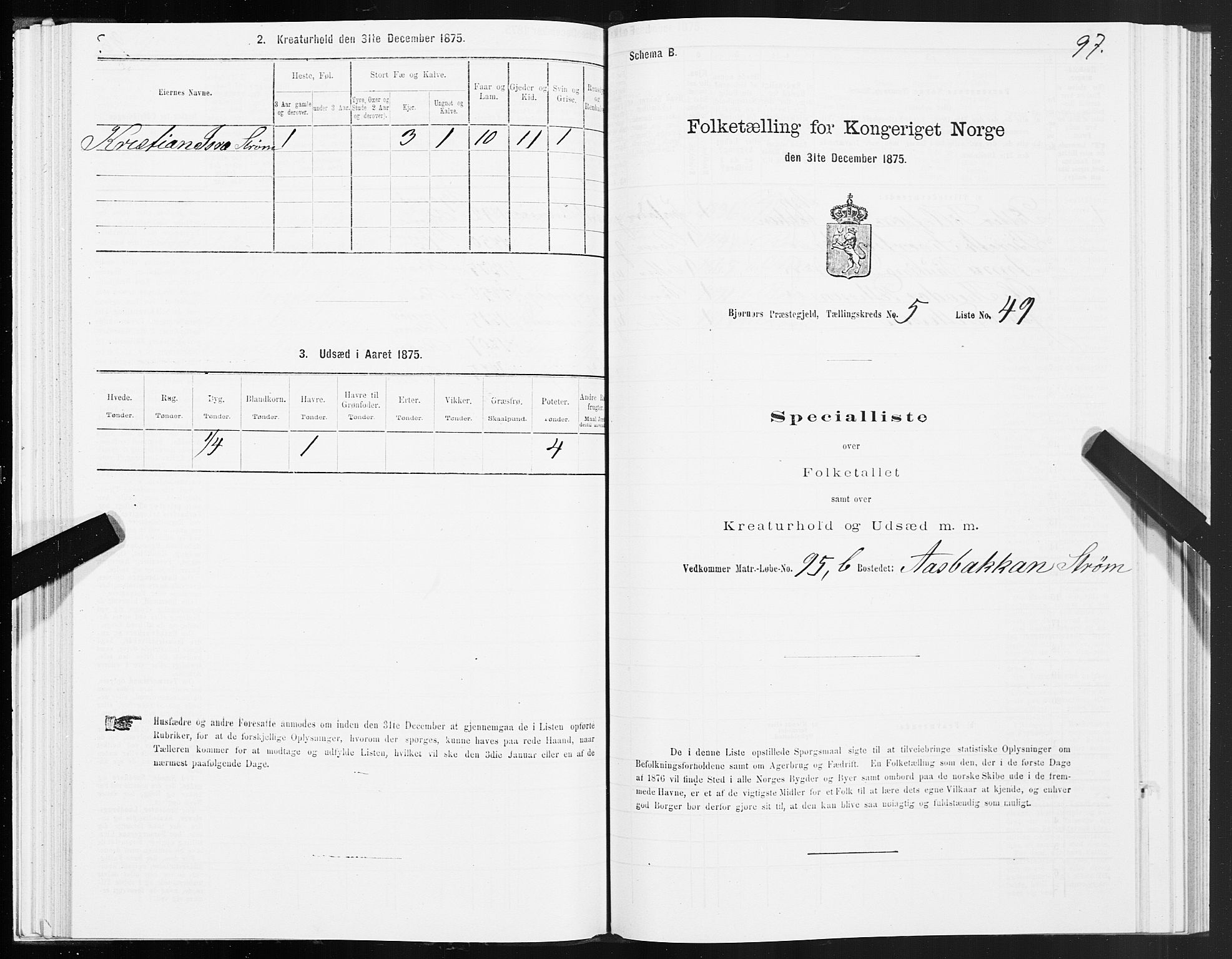 SAT, 1875 census for 1632P Bjørnør, 1875, p. 3097