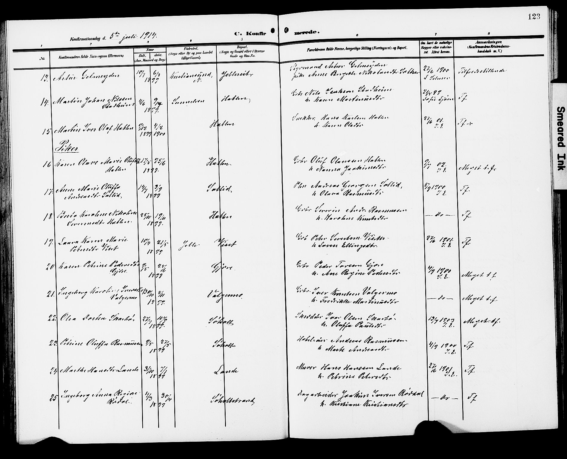 Ministerialprotokoller, klokkerbøker og fødselsregistre - Møre og Romsdal, AV/SAT-A-1454/522/L0328: Parish register (copy) no. 522C07, 1909-1925, p. 123