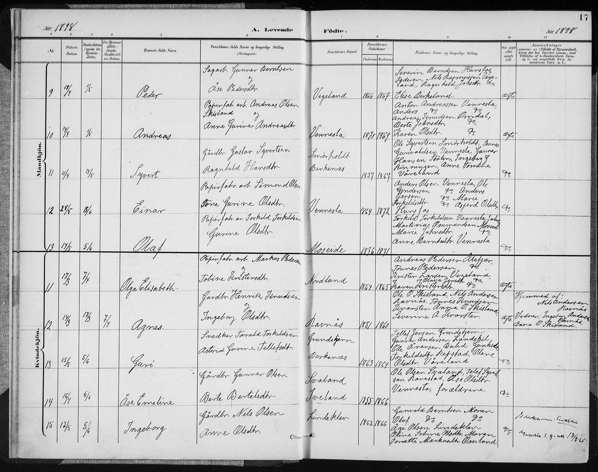 Vennesla sokneprestkontor, AV/SAK-1111-0045/Fa/Fab/L0005: Parish register (official) no. A 5, 1897-1909, p. 17