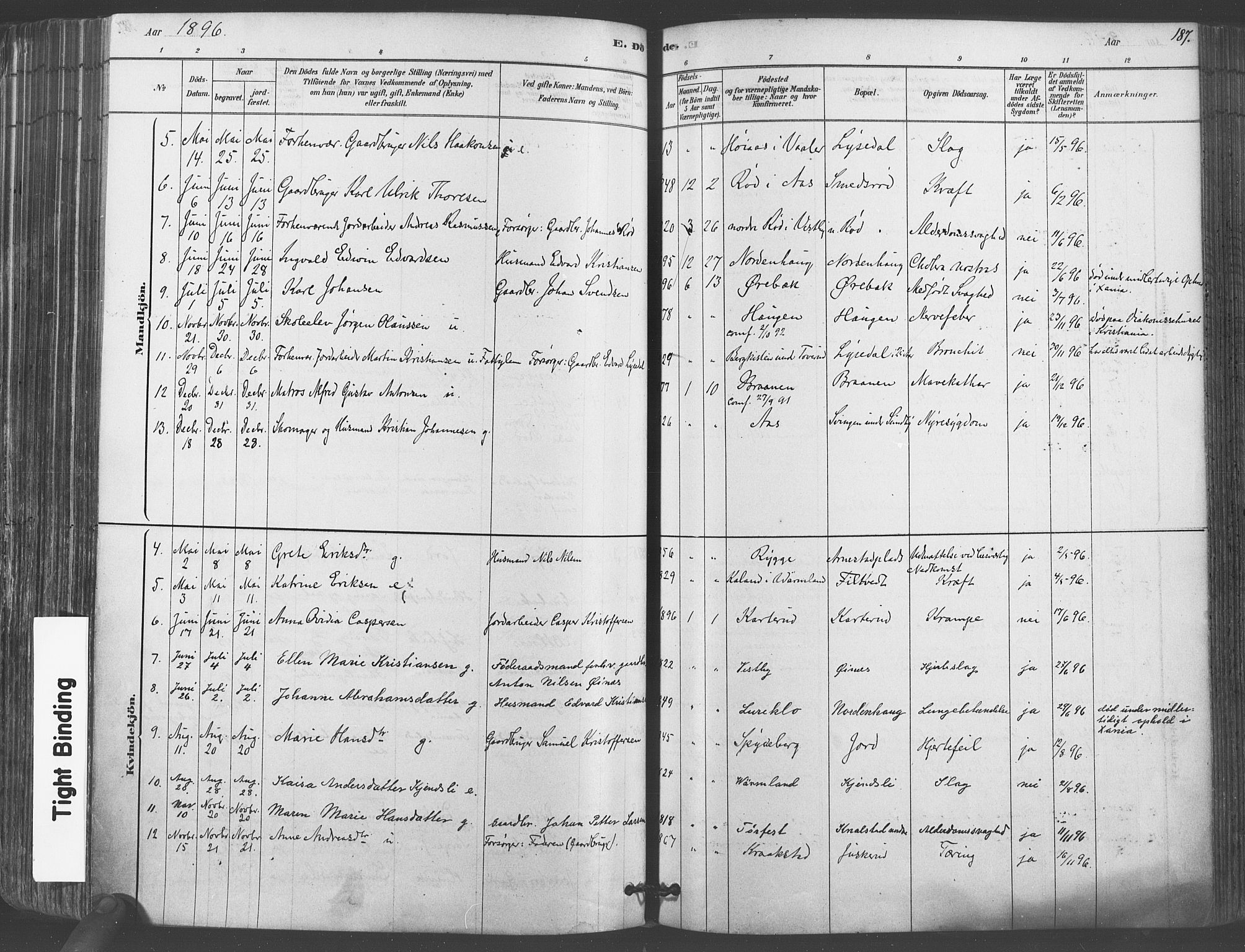 Vestby prestekontor Kirkebøker, AV/SAO-A-10893/F/Fa/L0009: Parish register (official) no. I 9, 1878-1900, p. 187