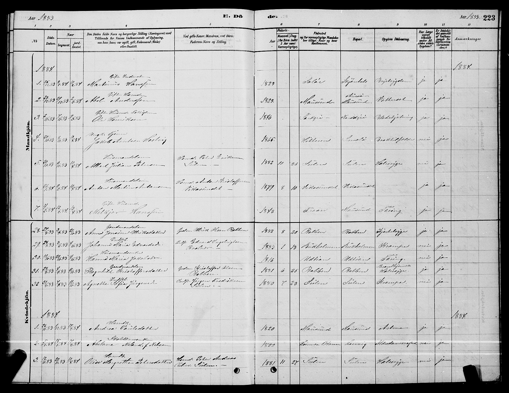 Ministerialprotokoller, klokkerbøker og fødselsregistre - Sør-Trøndelag, SAT/A-1456/640/L0585: Parish register (copy) no. 640C03, 1878-1891, p. 223