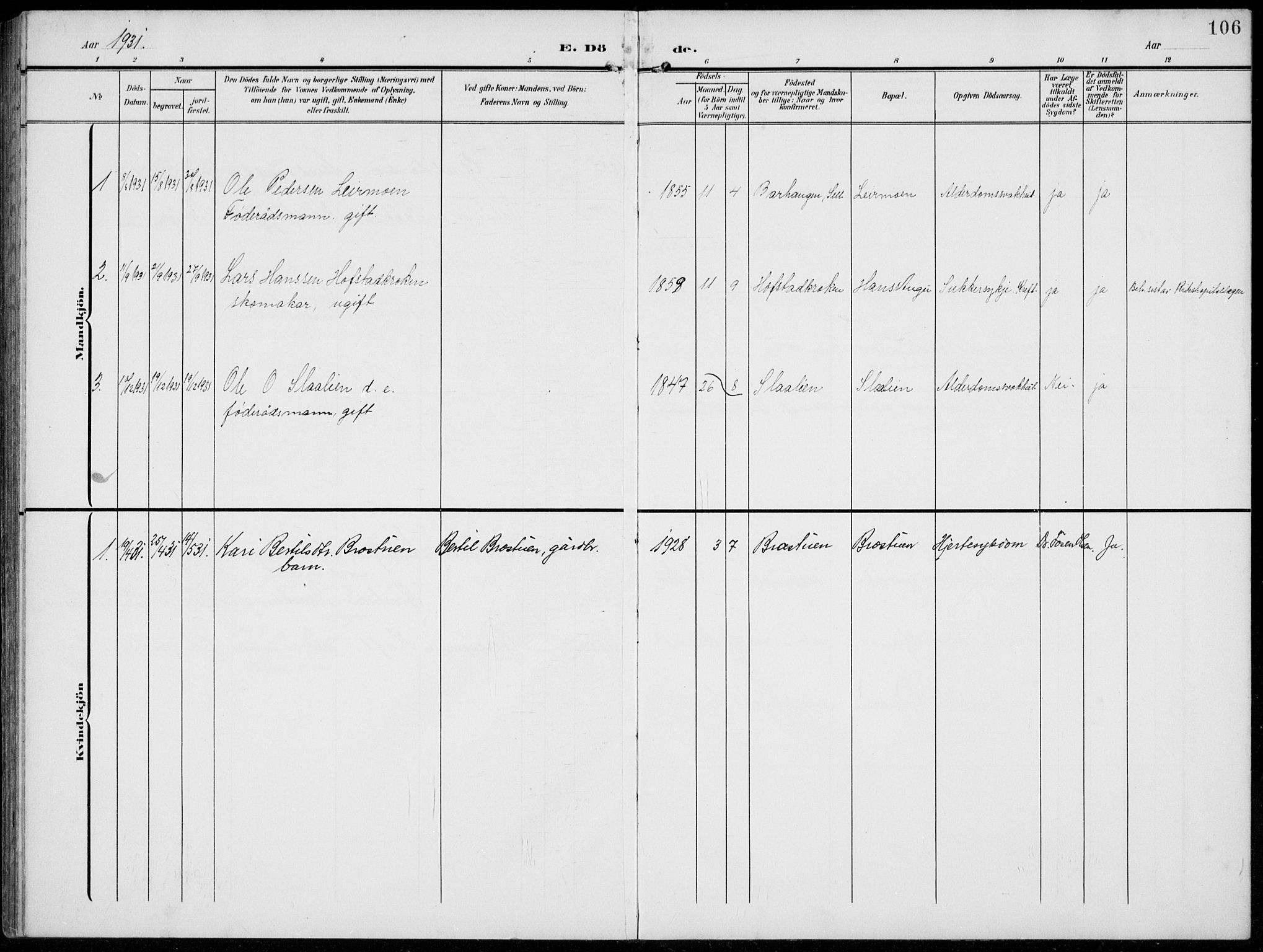 Lom prestekontor, AV/SAH-PREST-070/L/L0007: Parish register (copy) no. 7, 1904-1938, p. 106