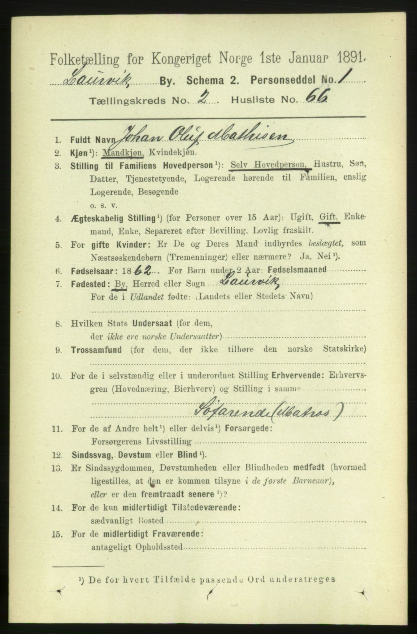 RA, 1891 census for 0707 Larvik, 1891, p. 4052