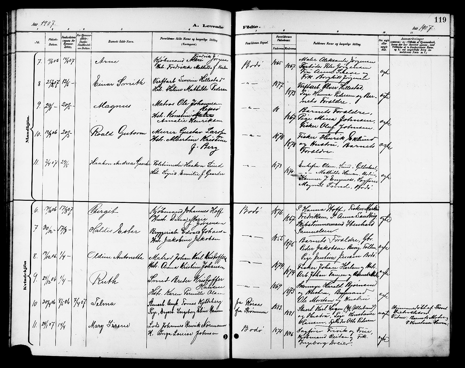 Ministerialprotokoller, klokkerbøker og fødselsregistre - Nordland, AV/SAT-A-1459/801/L0033: Parish register (copy) no. 801C08, 1898-1910, p. 119