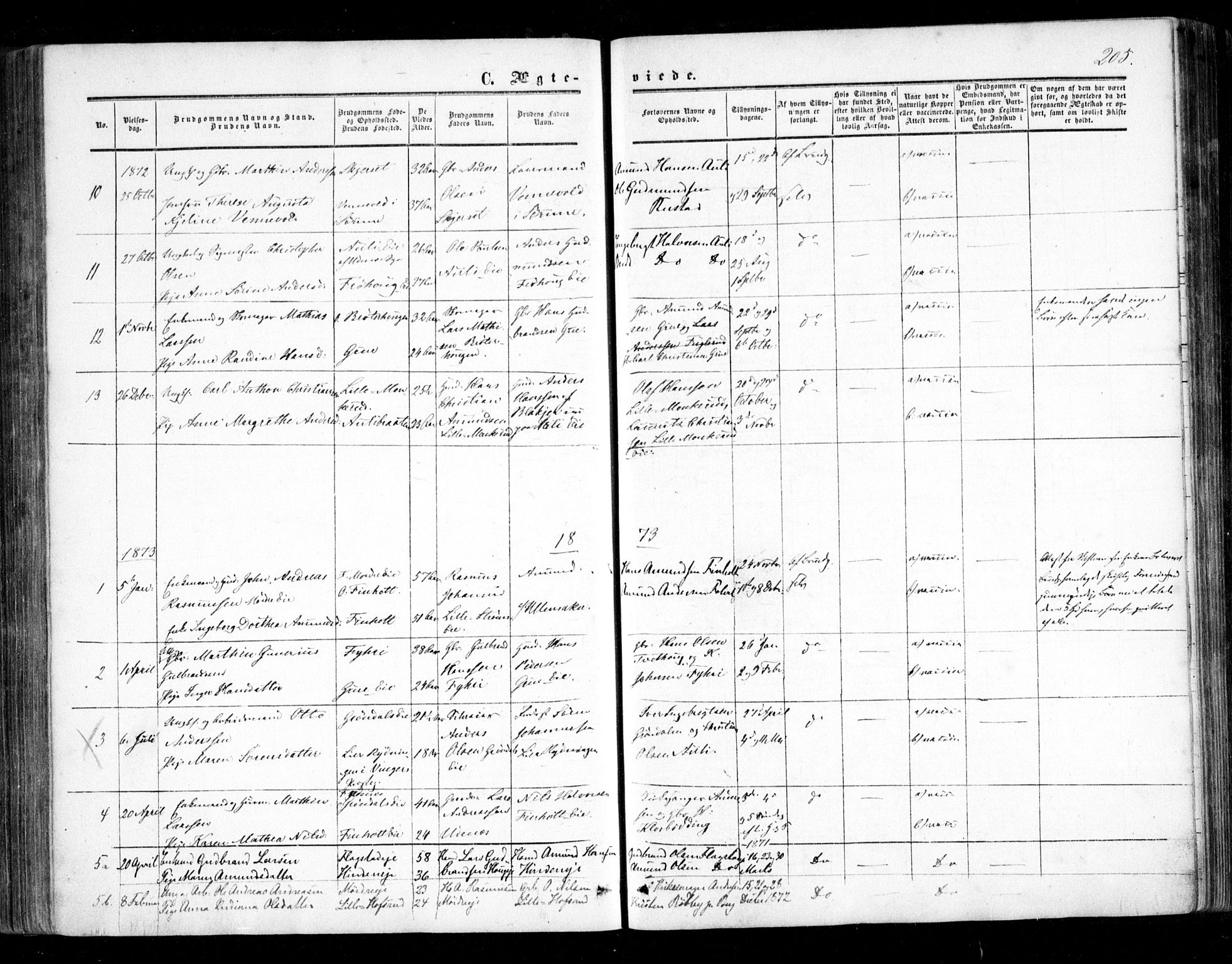 Nes prestekontor Kirkebøker, SAO/A-10410/F/Fc/L0001: Parish register (official) no. III 1, 1859-1882, p. 205