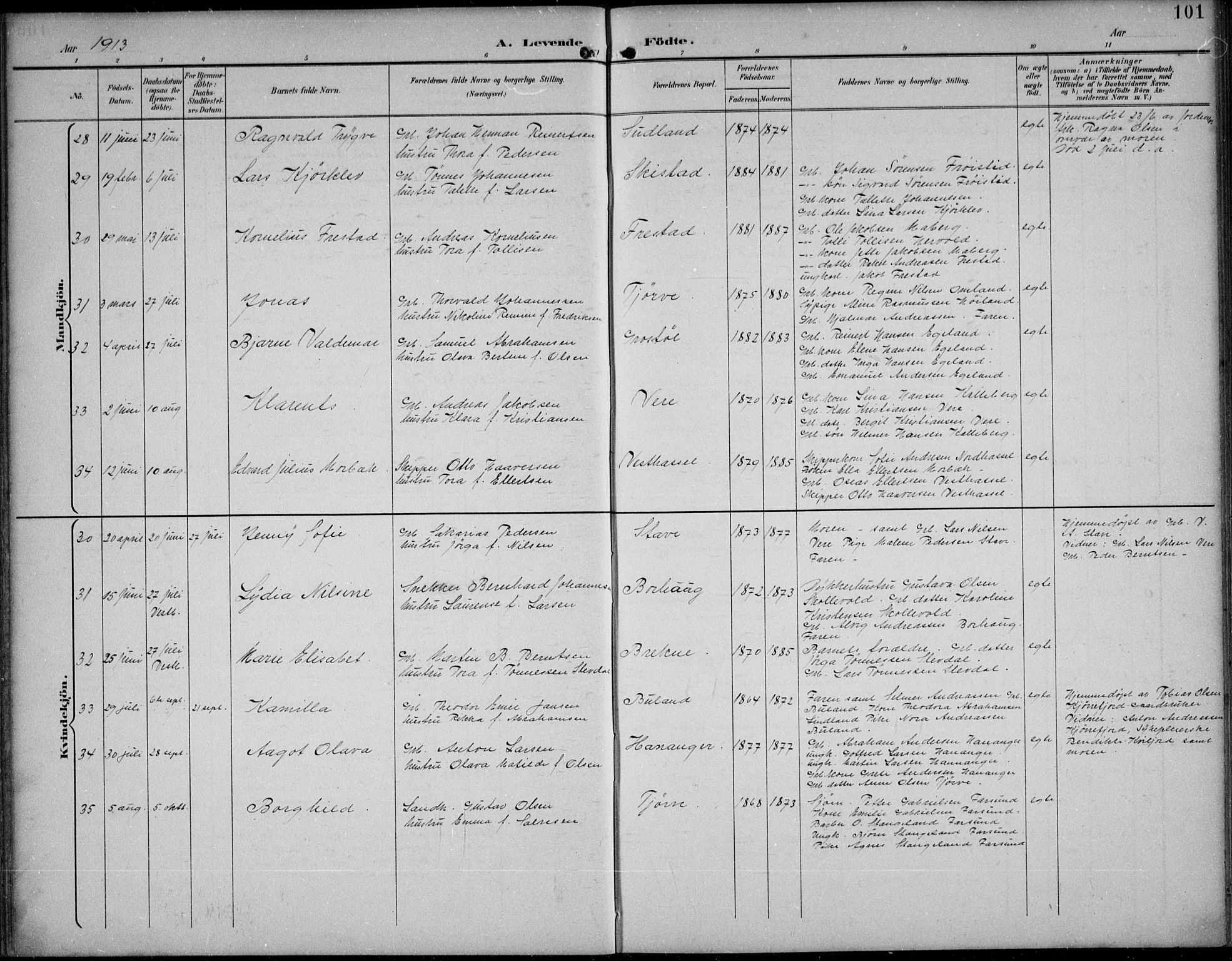 Lista sokneprestkontor, AV/SAK-1111-0027/F/Fb/L0005: Parish register (copy) no. B 5, 1892-1923, p. 101