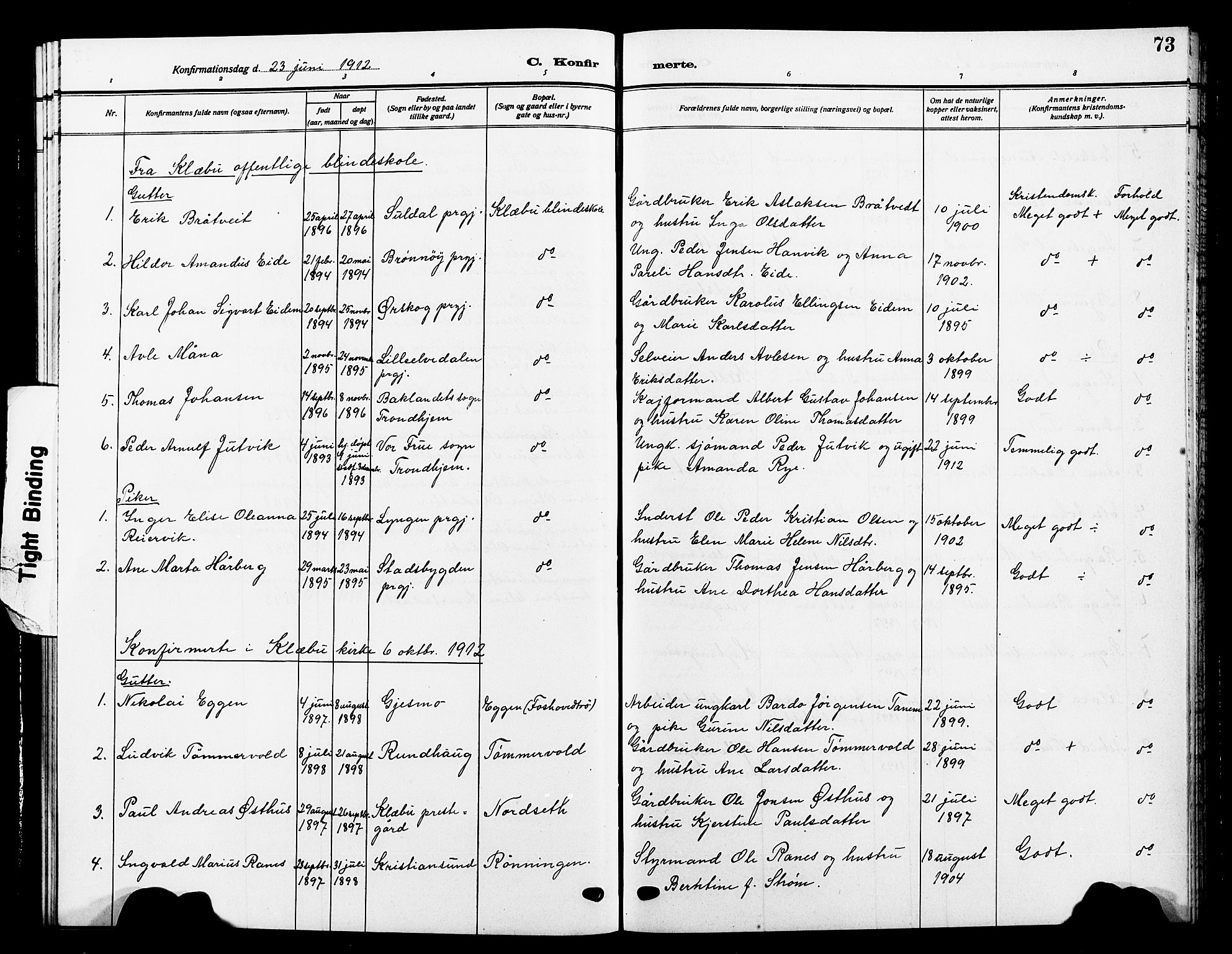 Ministerialprotokoller, klokkerbøker og fødselsregistre - Sør-Trøndelag, SAT/A-1456/618/L0453: Parish register (copy) no. 618C04, 1907-1925, p. 73